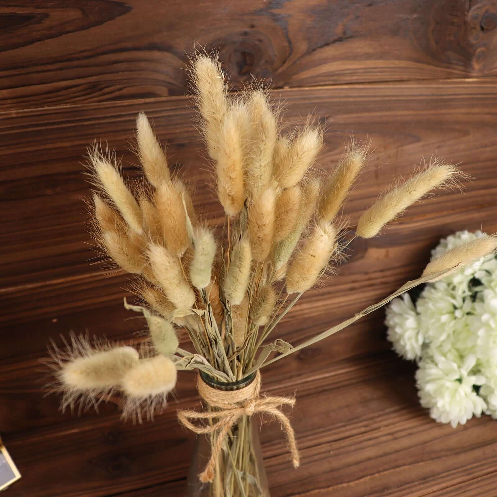 Hot Sale! 50-Pack Natural Dried Bunny Tail Grass for Farmhouse Decor, Events & Floral Arrangements