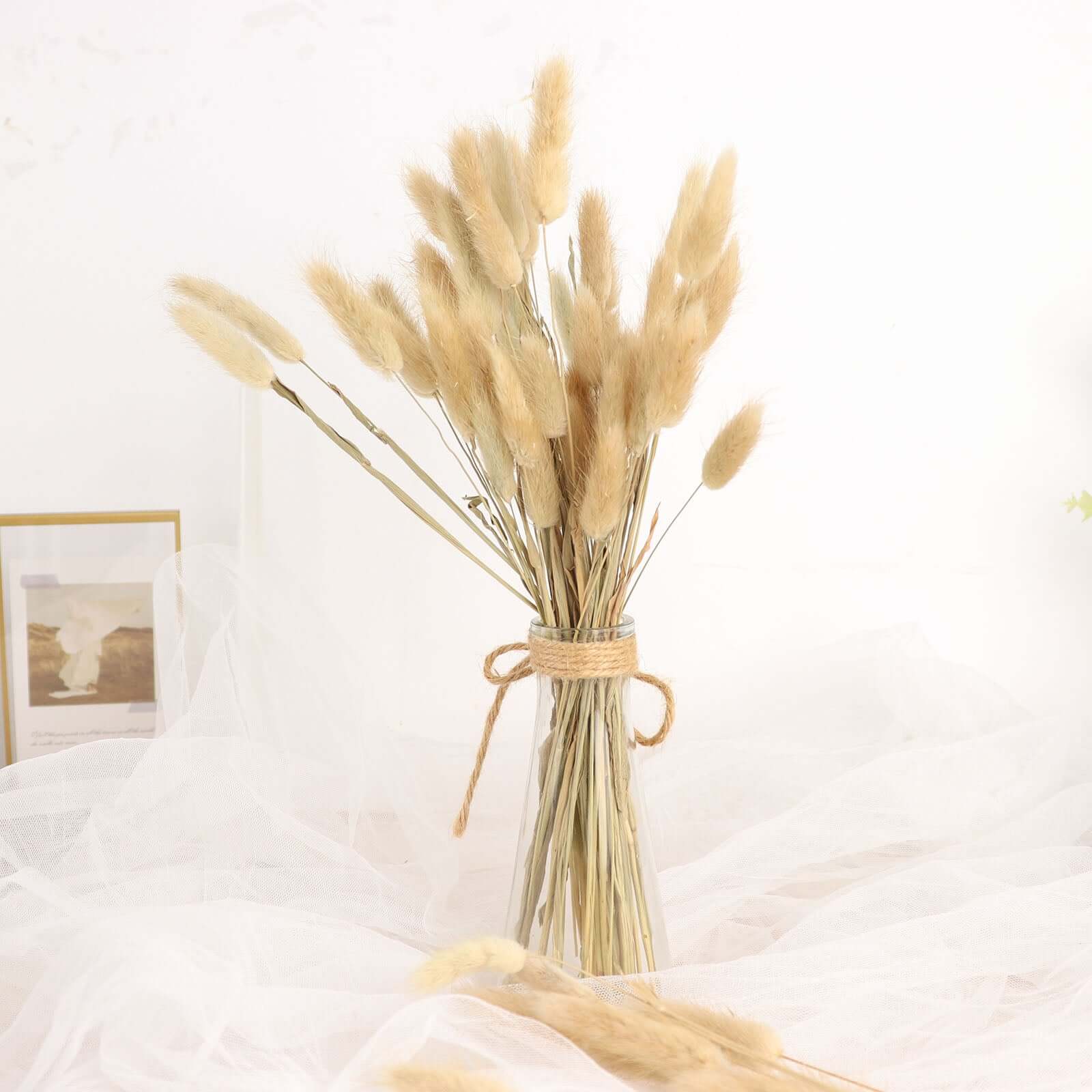 Hot Sale! 50-Pack Natural Dried Bunny Tail Grass for Farmhouse Decor, Events & Floral Arrangements