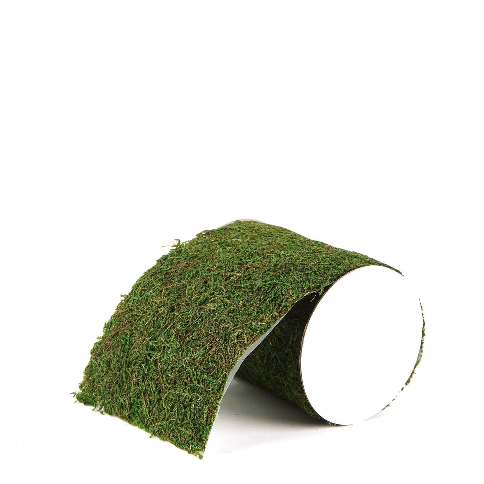 4-Foot Long, 5-Inch Wide Green Preserved Moss Ribbon for DIY Crafts