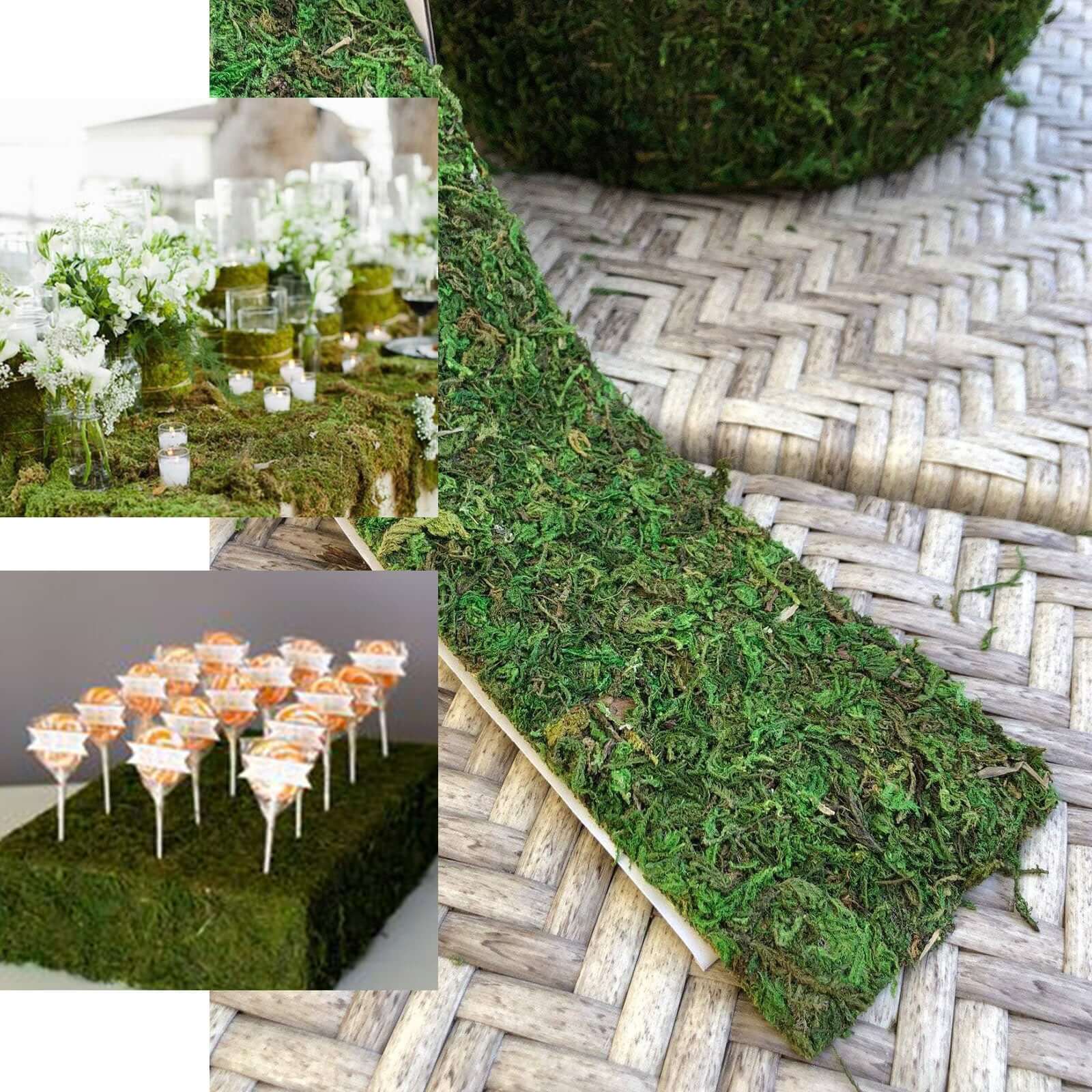 Amazing 4-Foot Long, 2-Inch Wide Green Preserved Moss Ribbon Roll for DIY Crafts