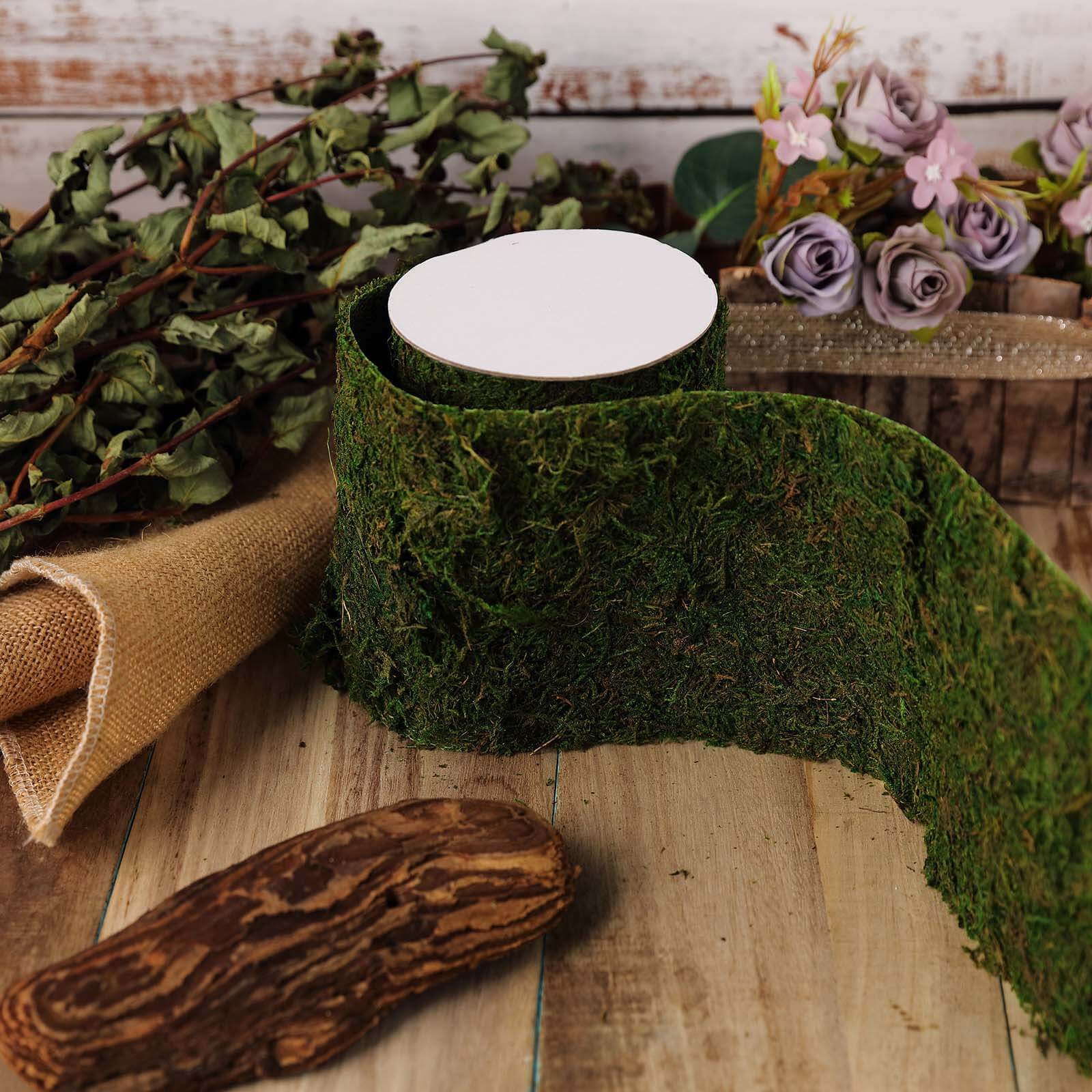 4-Foot Long, 5-Inch Wide Green Preserved Moss Ribbon for DIY Crafts