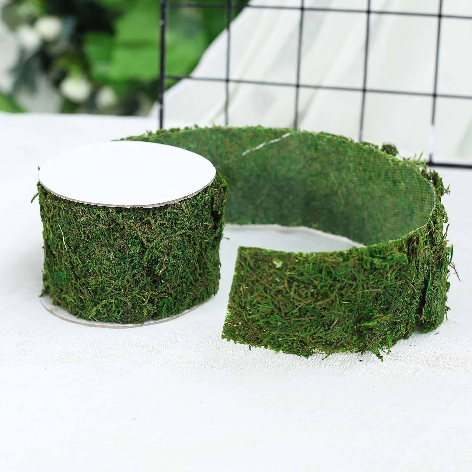 Amazing 4-Foot Long, 2-Inch Wide Green Preserved Moss Ribbon Roll for DIY Crafts