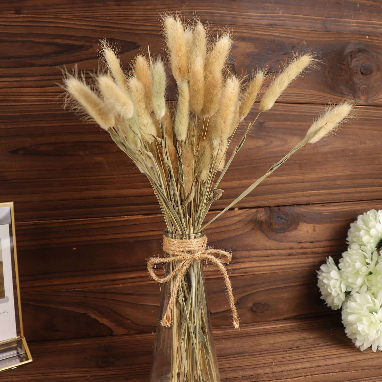 Hot Sale! 50-Pack Natural Dried Bunny Tail Grass for Farmhouse Decor, Events & Floral Arrangements