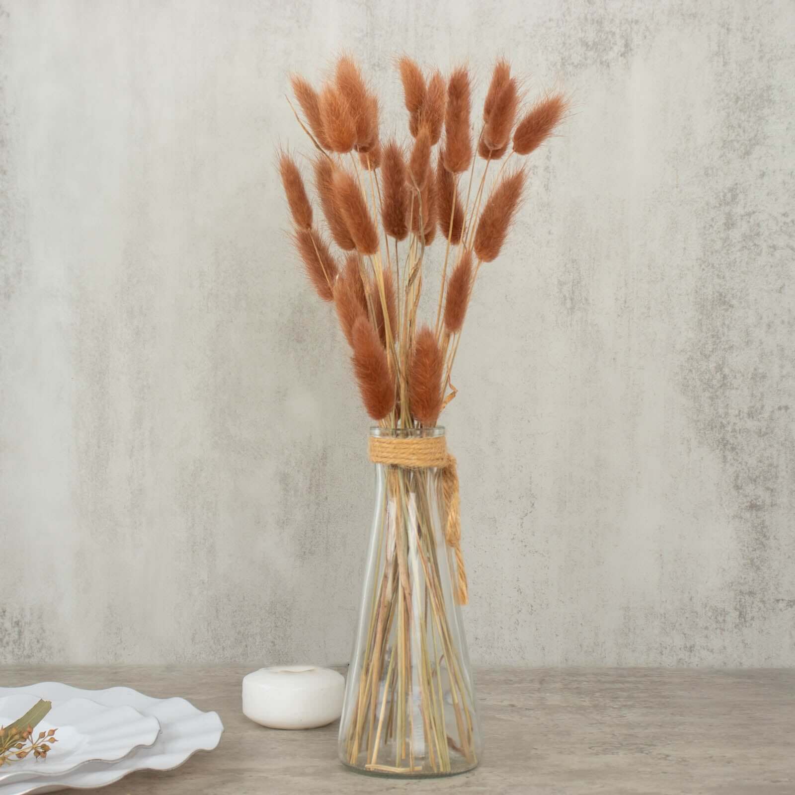 50-Pack Brown Dried Bunny Tail Grass - Rustic Ornamental Grass for Farmhouse Decor & Floral Events