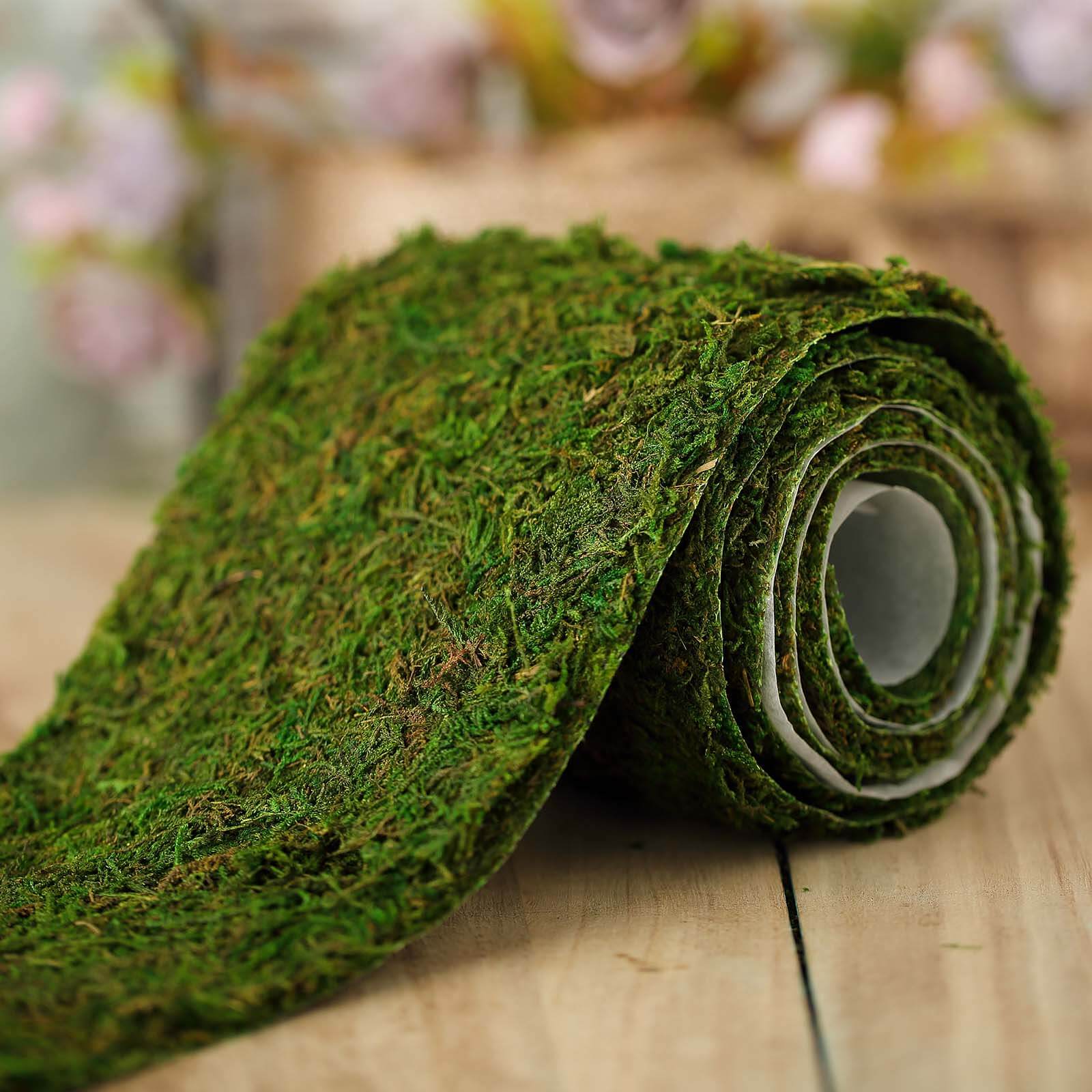 4-Foot Long, 5-Inch Wide Green Preserved Moss Ribbon for DIY Crafts