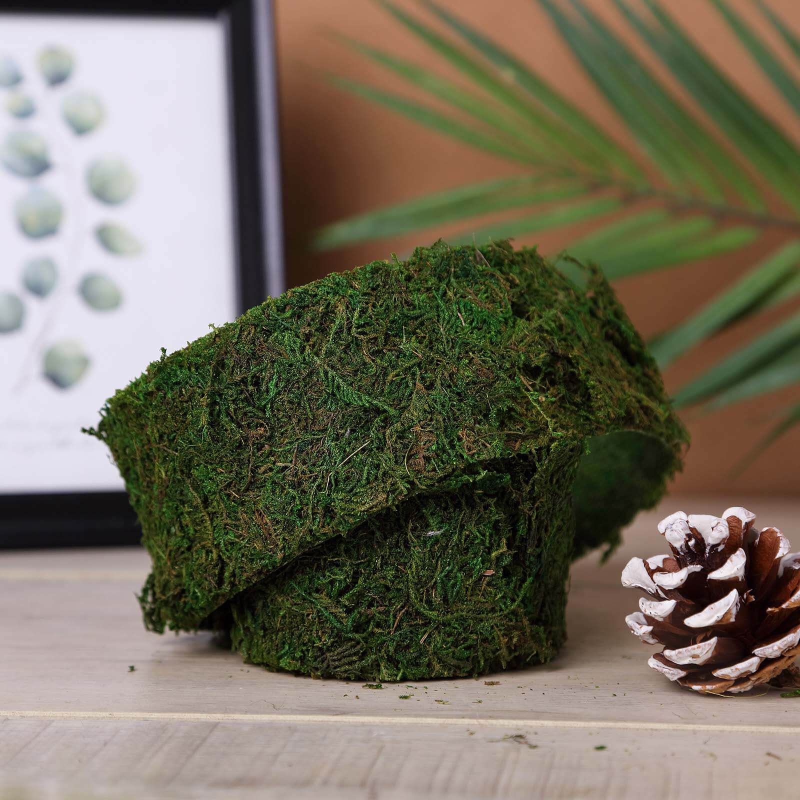 Amazing 4-Foot Long, 2-Inch Wide Green Preserved Moss Ribbon Roll for DIY Crafts