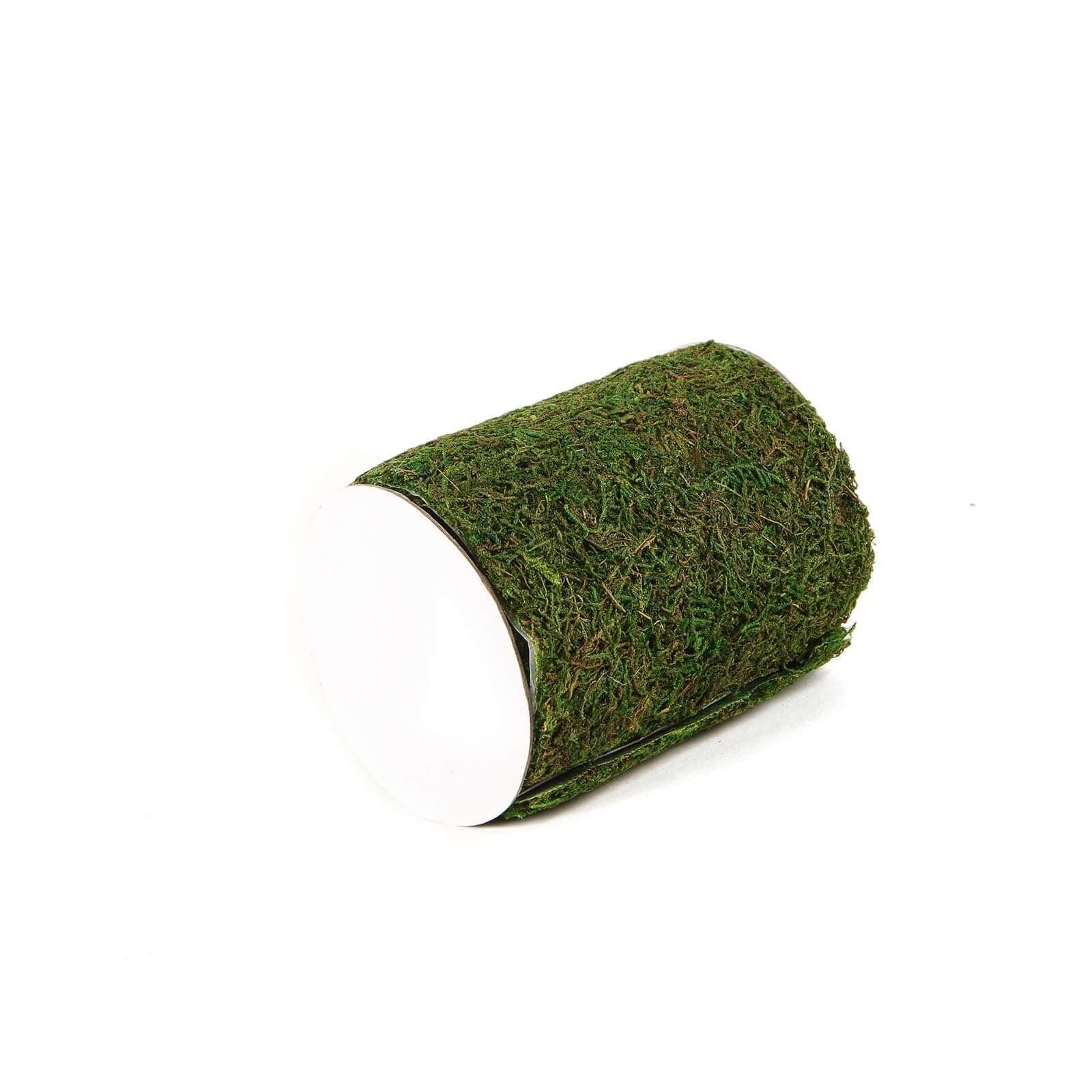 4-Foot Long, 5-Inch Wide Green Preserved Moss Ribbon for DIY Crafts
