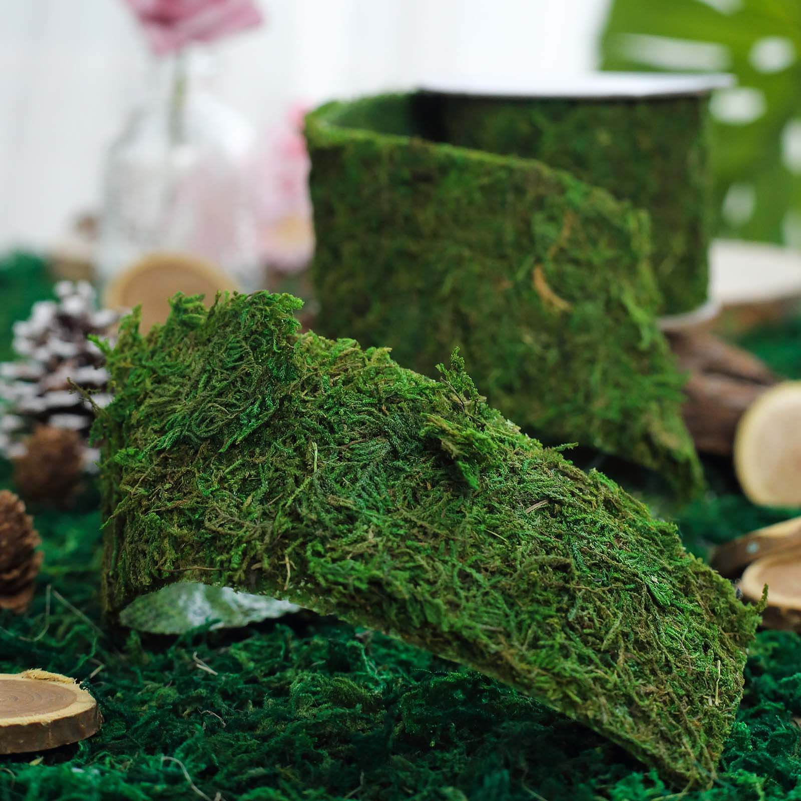 Amazing 4-Foot Long, 2-Inch Wide Green Preserved Moss Ribbon Roll for DIY Crafts