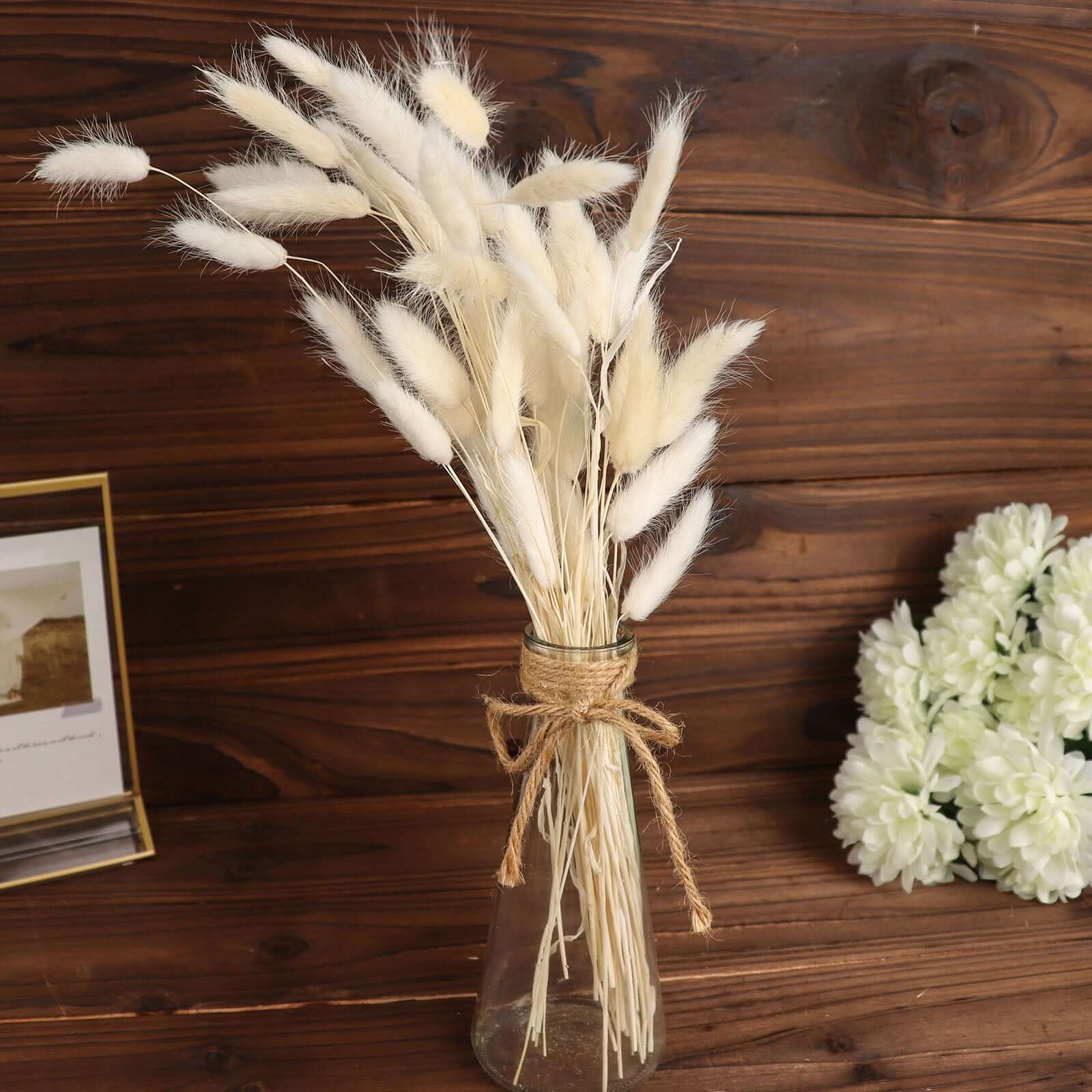 50-Pack Natural White Dried Bunny Tail Grass - Ideal for Modern Farmhouse Decor and Event Styling