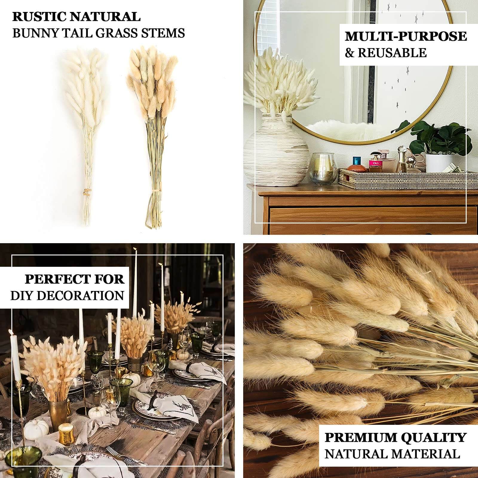Hot Sale! 50-Pack Natural Dried Bunny Tail Grass for Farmhouse Decor, Events & Floral Arrangements