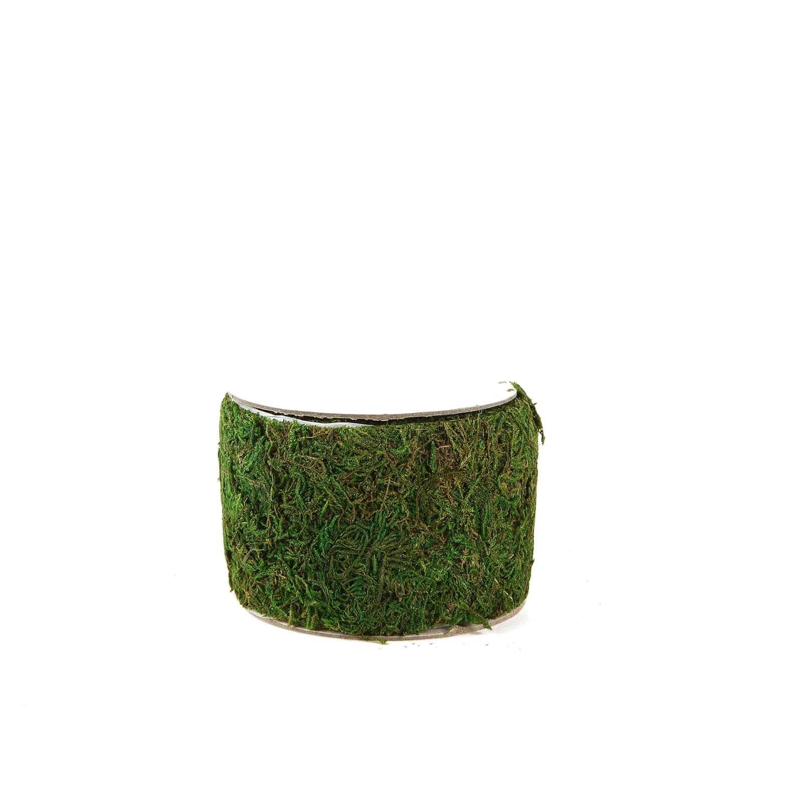 Amazing 4-Foot Long, 2-Inch Wide Green Preserved Moss Ribbon Roll for DIY Crafts