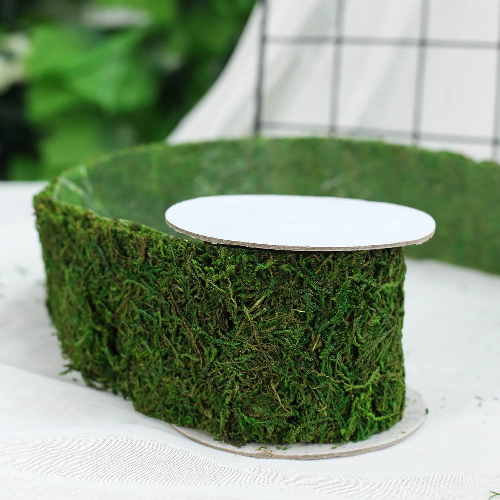 Amazing 4-Foot Long, 2-Inch Wide Green Preserved Moss Ribbon Roll for DIY Crafts