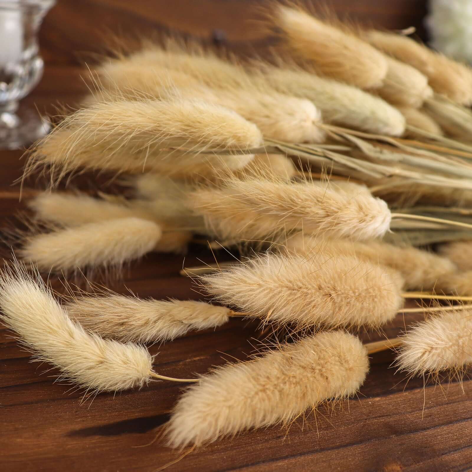 Hot Sale! 50-Pack Natural Dried Bunny Tail Grass for Farmhouse Decor, Events & Floral Arrangements