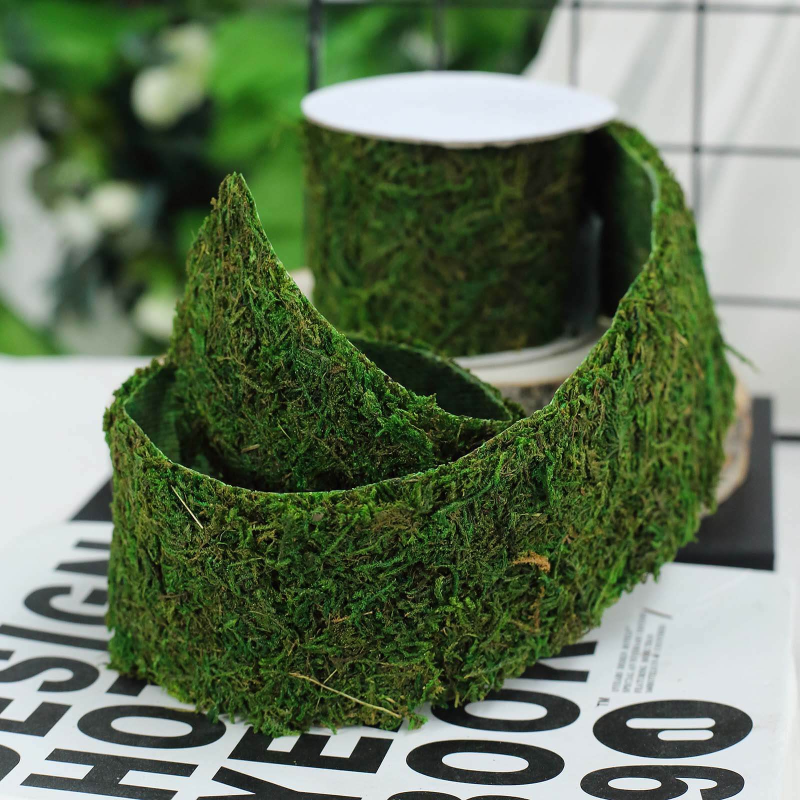 Amazing 4-Foot Long, 2-Inch Wide Green Preserved Moss Ribbon Roll for DIY Crafts
