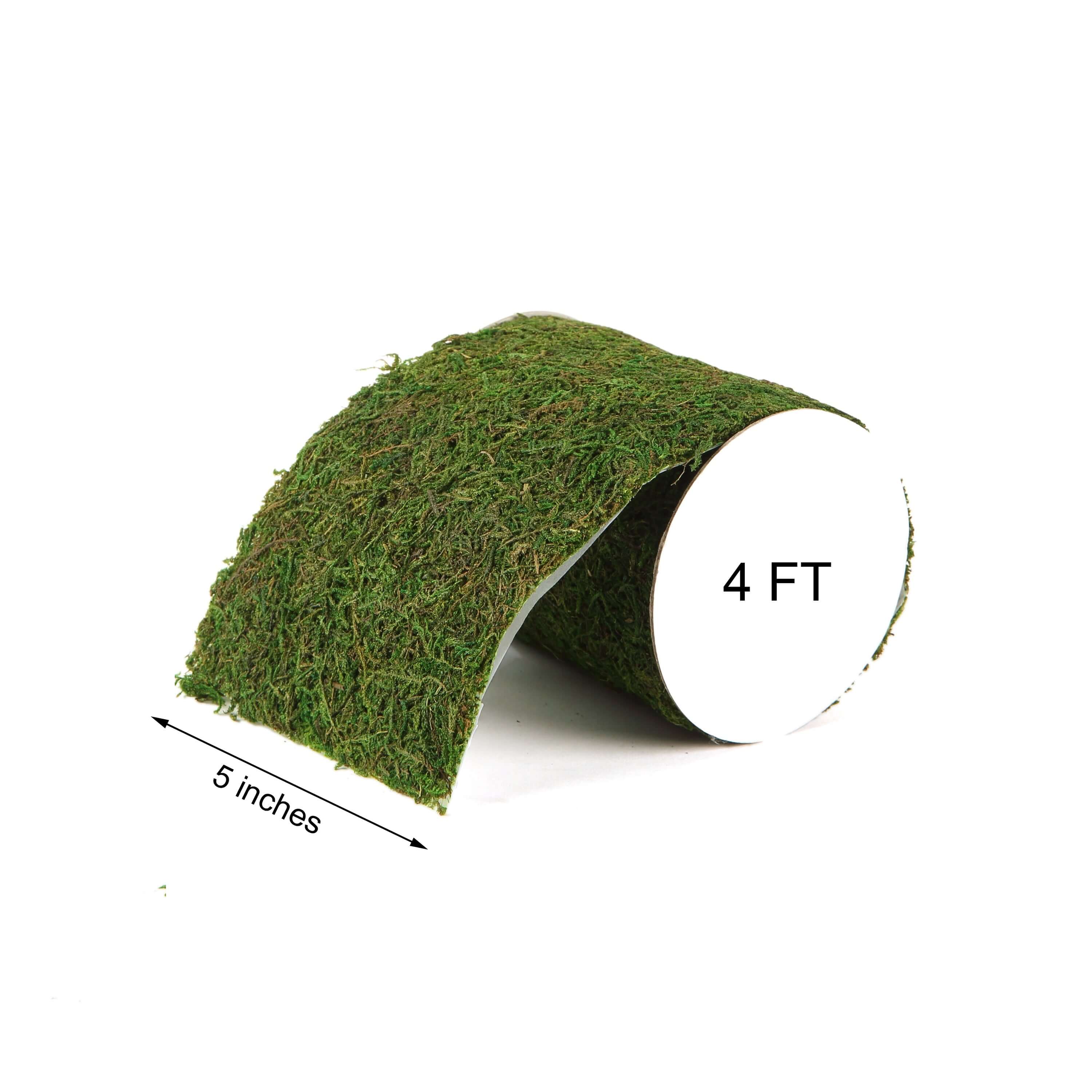 4-Foot Long, 5-Inch Wide Green Preserved Moss Ribbon for DIY Crafts