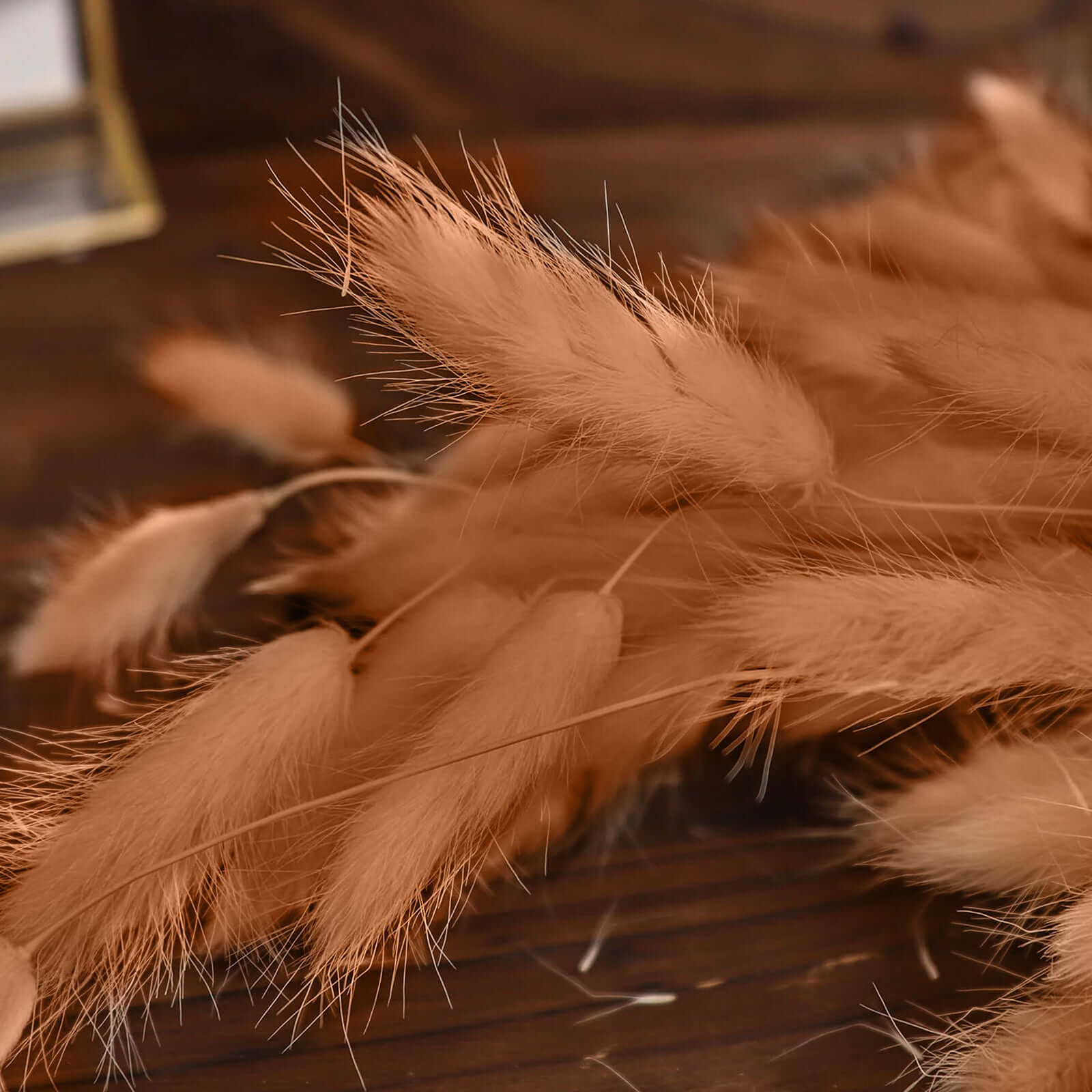 50-Pack Brown Dried Bunny Tail Grass - Rustic Ornamental Grass for Farmhouse Decor & Floral Events