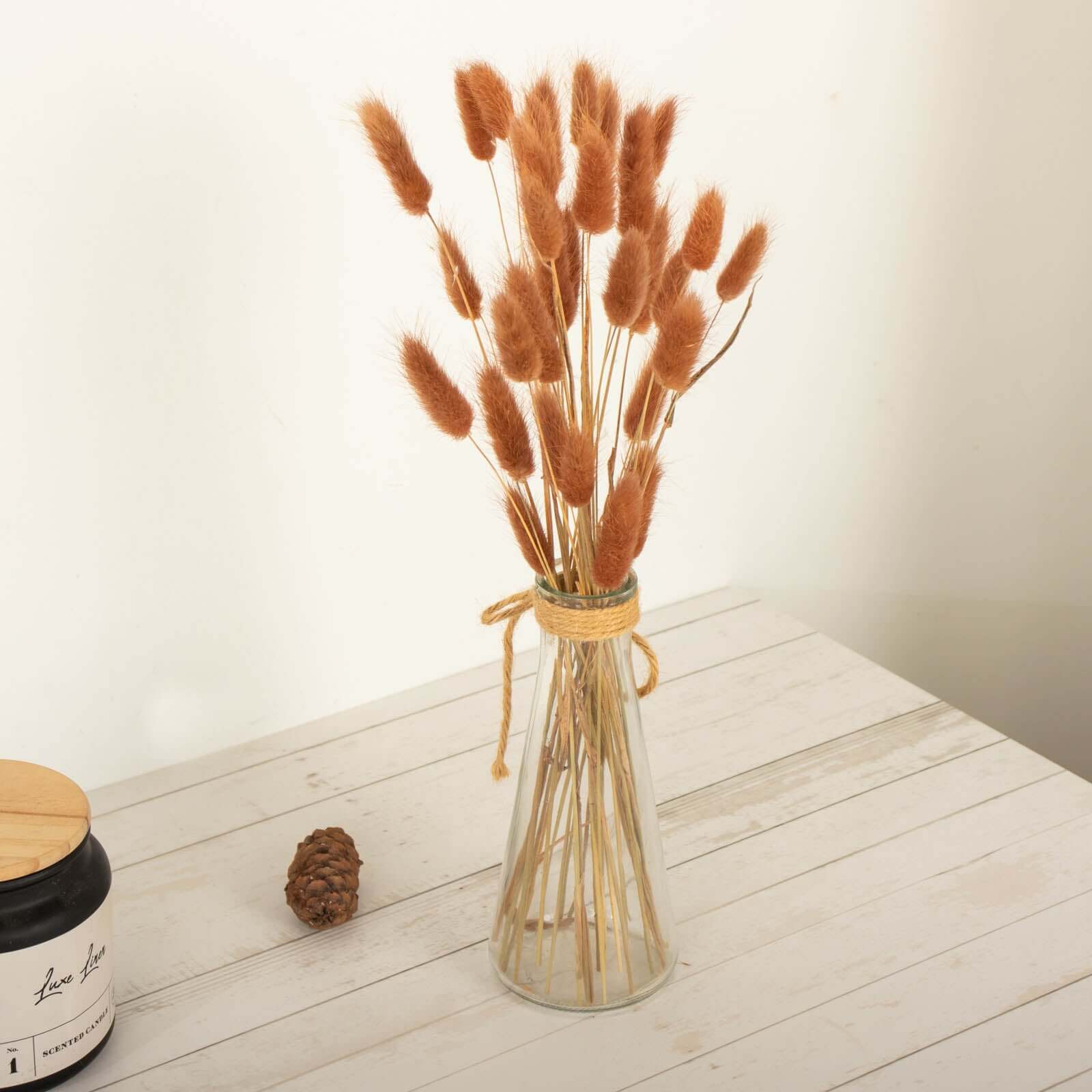 50-Pack Brown Dried Bunny Tail Grass - Rustic Ornamental Grass for Farmhouse Decor & Floral Events