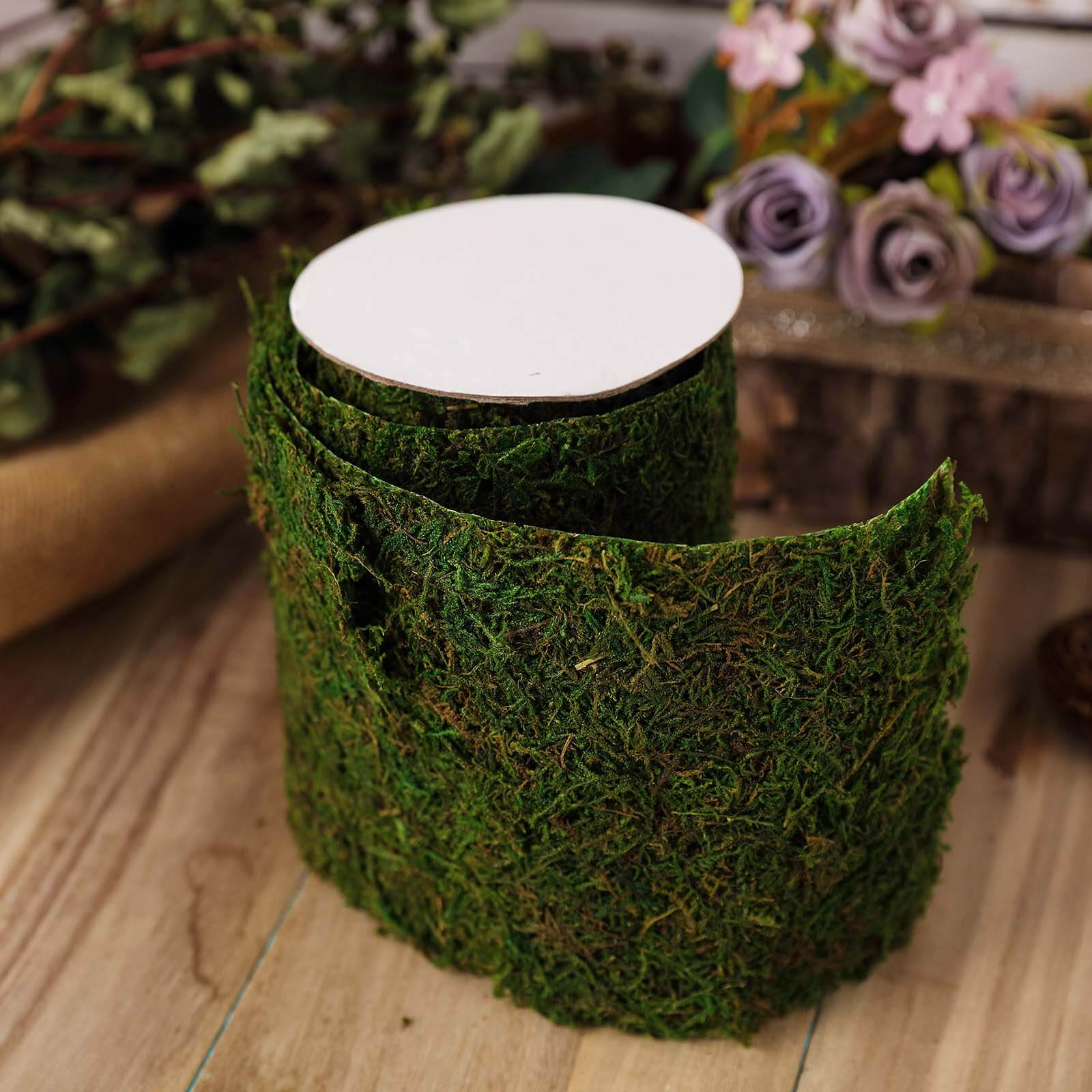 4-Foot Long, 5-Inch Wide Green Preserved Moss Ribbon for DIY Crafts