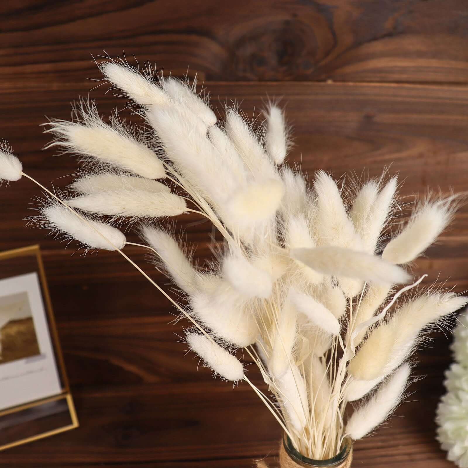 50-Pack Natural White Dried Bunny Tail Grass - Ideal for Modern Farmhouse Decor and Event Styling