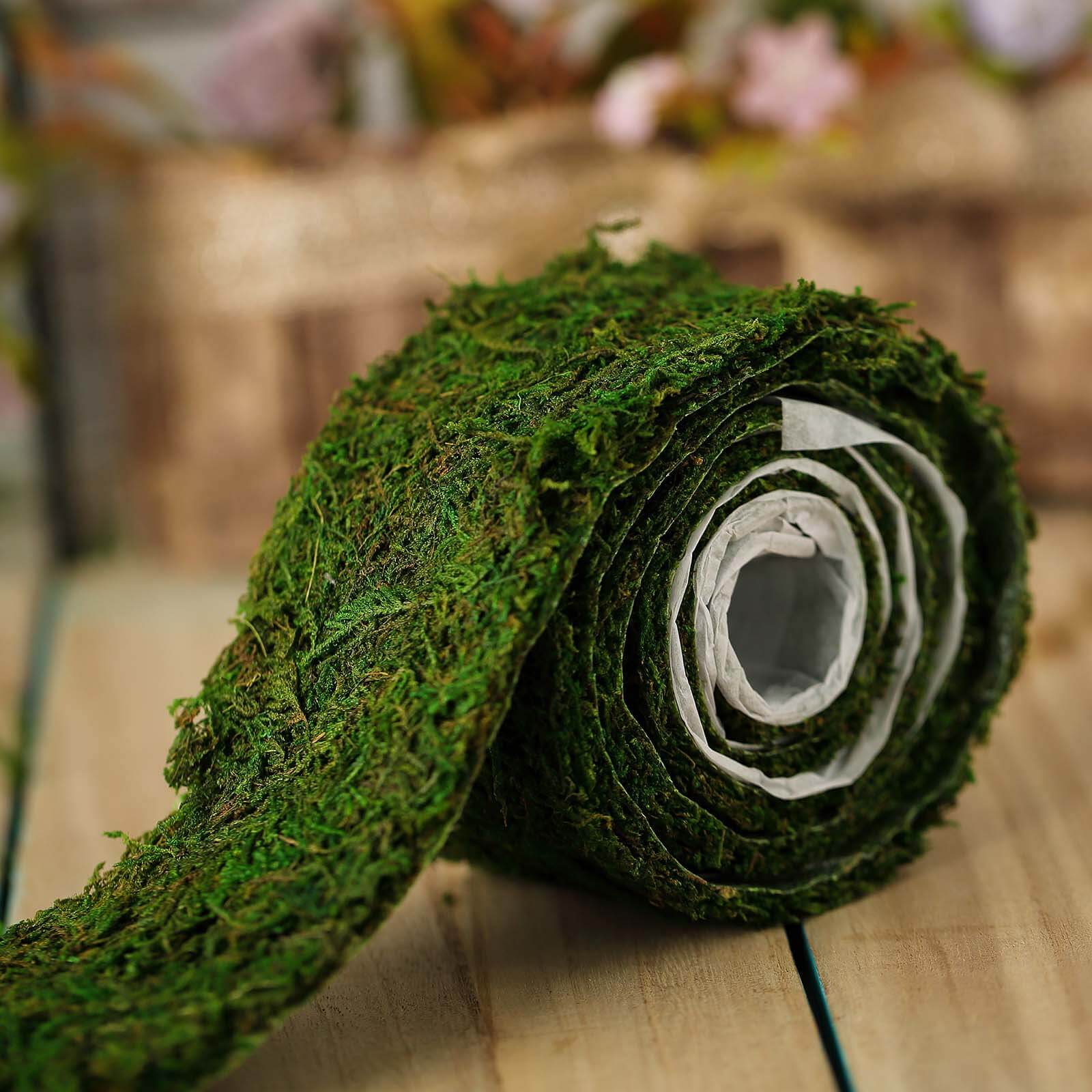 Amazing 4-Foot Long, 2-Inch Wide Green Preserved Moss Ribbon Roll for DIY Crafts
