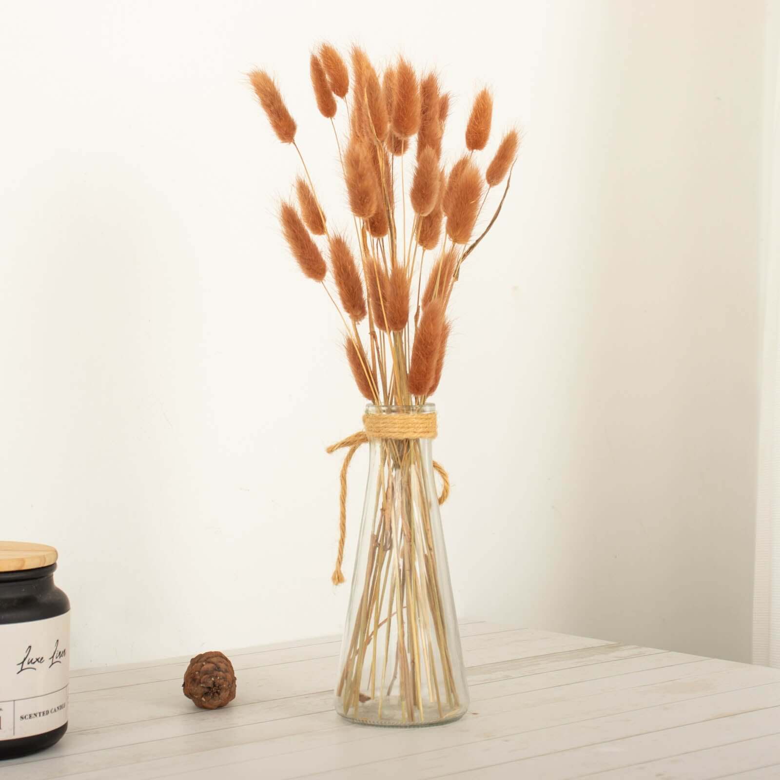 50-Pack Brown Dried Bunny Tail Grass - Rustic Ornamental Grass for Farmhouse Decor & Floral Events