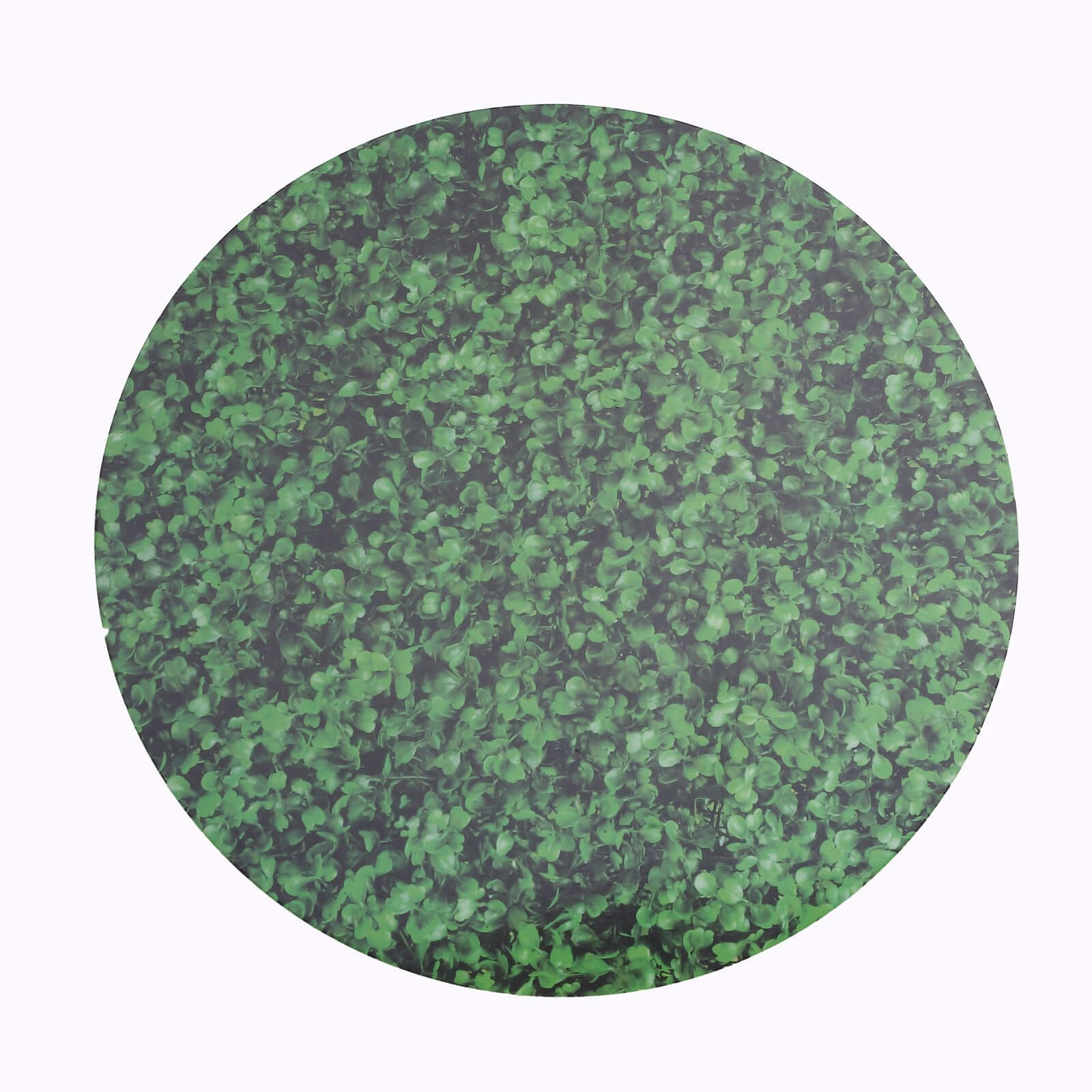 6-Piece Set of Disposable Round Table Placemats in Green Boxwood Leaf Design, 700GSM, 13-Inch