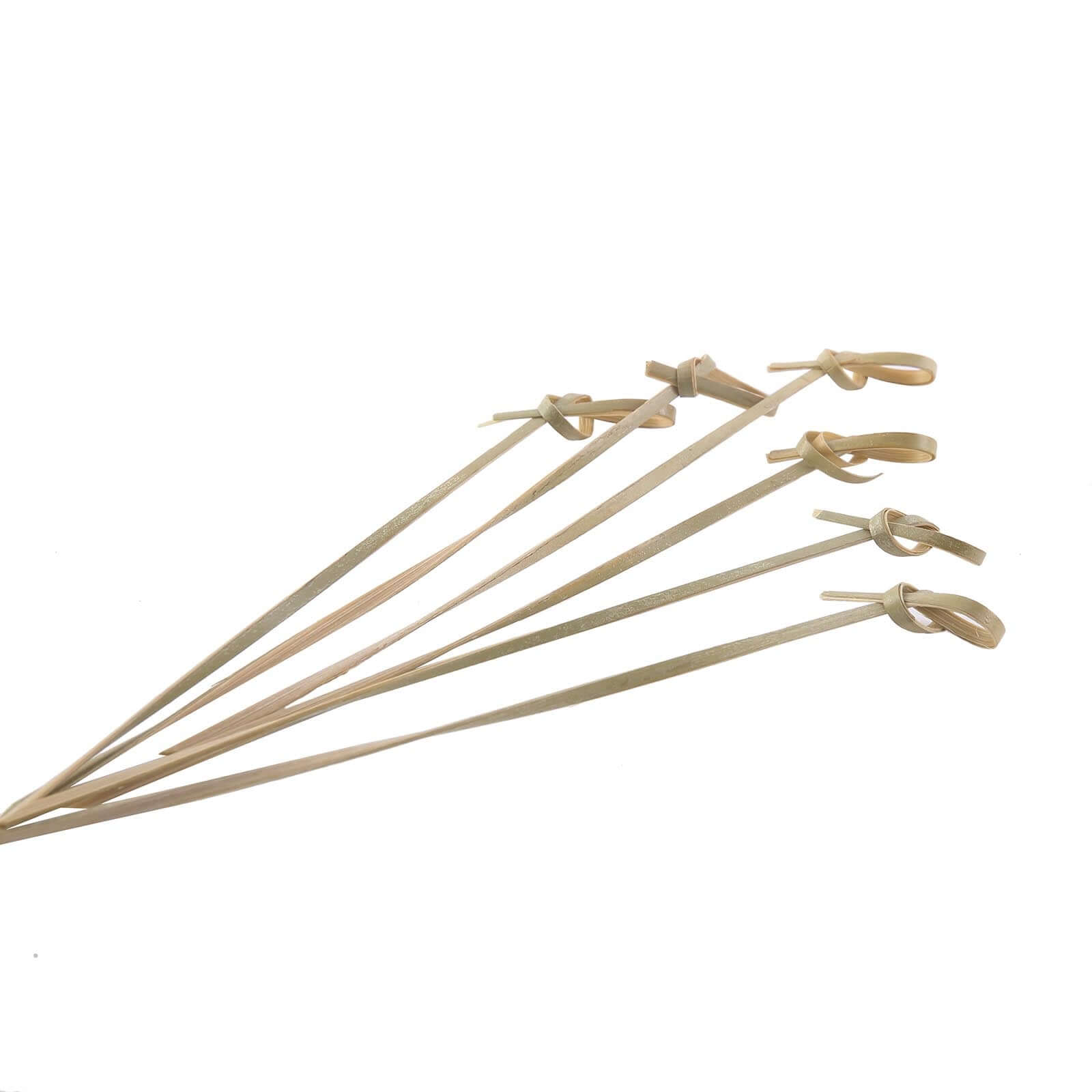 Eco-Friendly 100-Pack 6