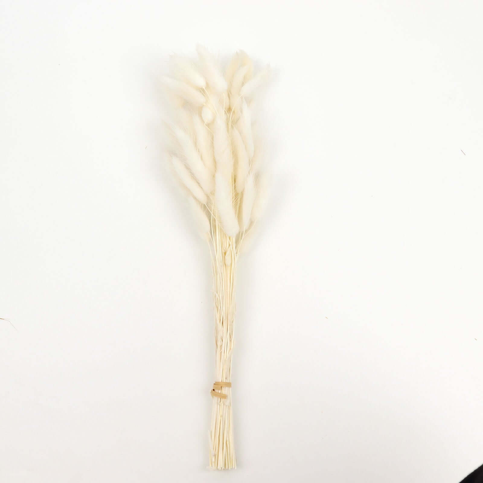 50-Pack Natural White Dried Bunny Tail Grass - Ideal for Modern Farmhouse Decor and Event Styling