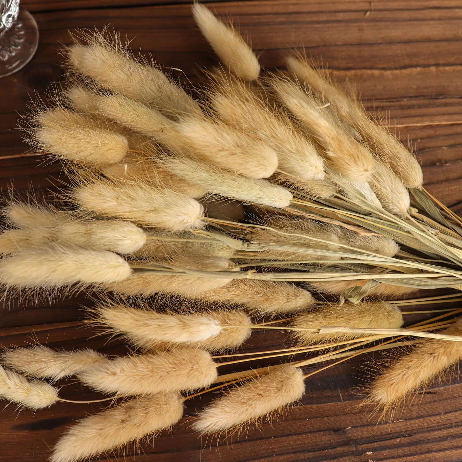 Hot Sale! 50-Pack Natural Dried Bunny Tail Grass for Farmhouse Decor, Events & Floral Arrangements
