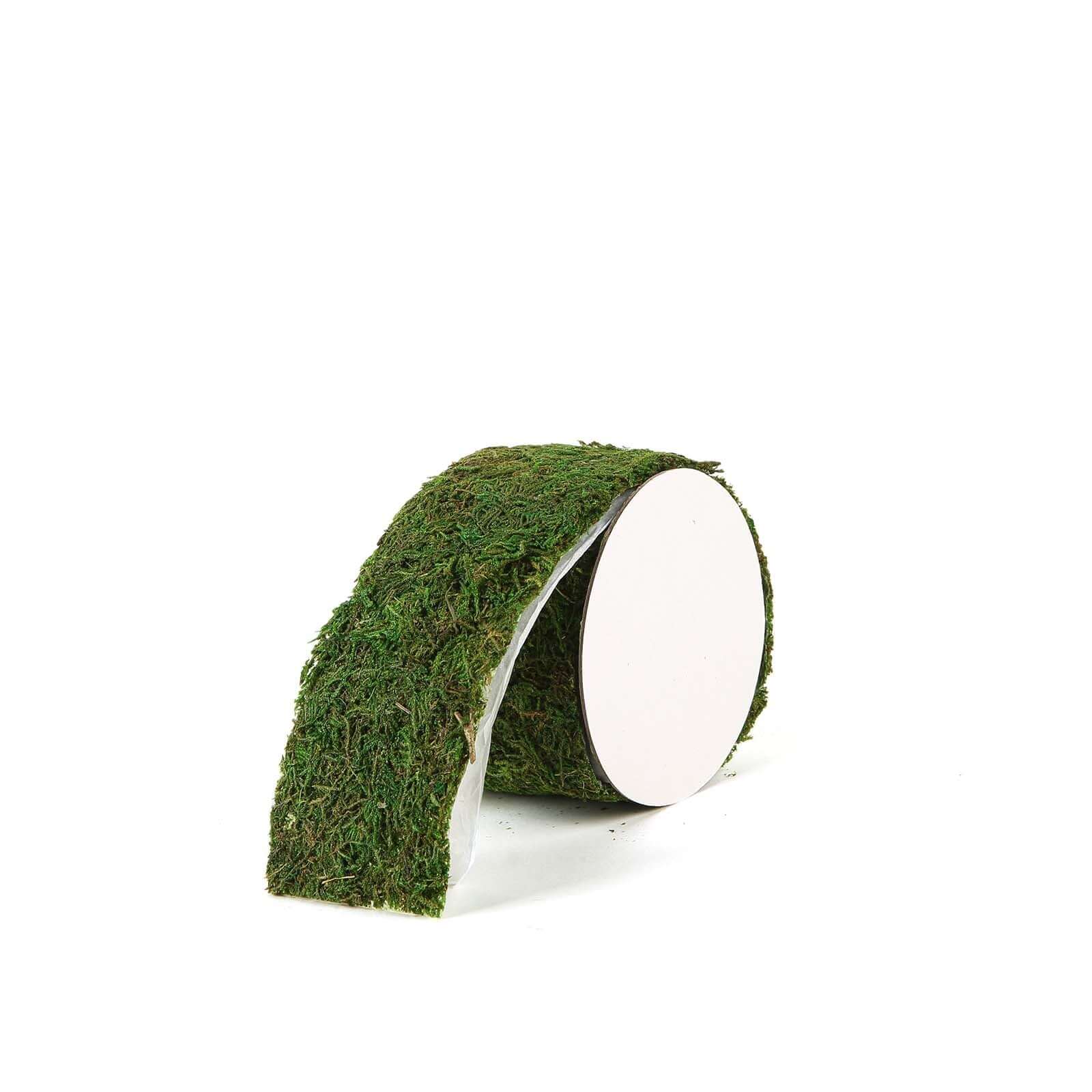 Amazing 4-Foot Long, 2-Inch Wide Green Preserved Moss Ribbon Roll for DIY Crafts