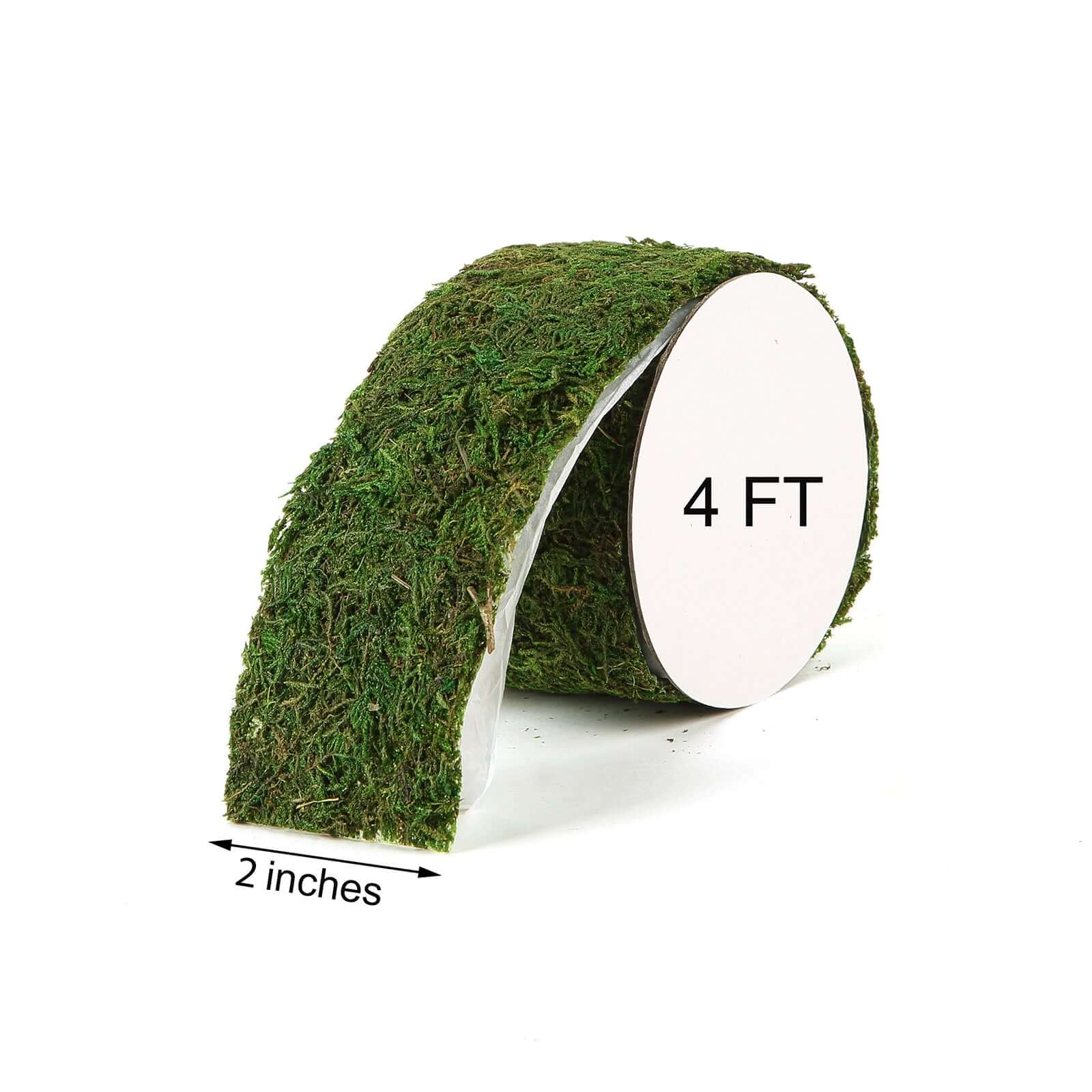 Amazing 4-Foot Long, 2-Inch Wide Green Preserved Moss Ribbon Roll for DIY Crafts