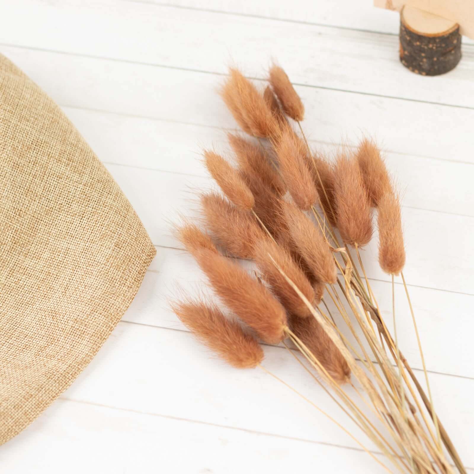 50-Pack Brown Dried Bunny Tail Grass - Rustic Ornamental Grass for Farmhouse Decor & Floral Events