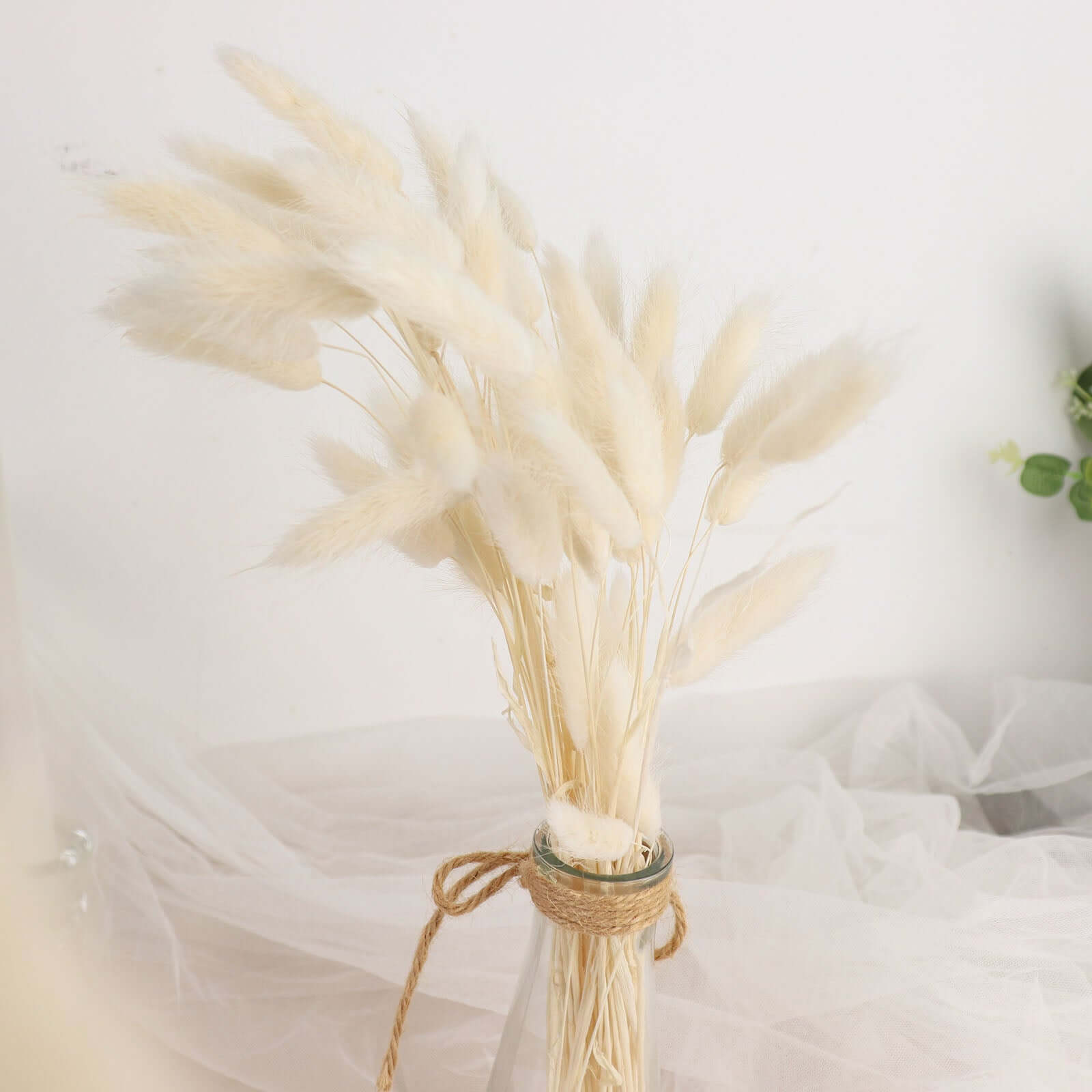 50-Pack Natural White Dried Bunny Tail Grass - Ideal for Modern Farmhouse Decor and Event Styling