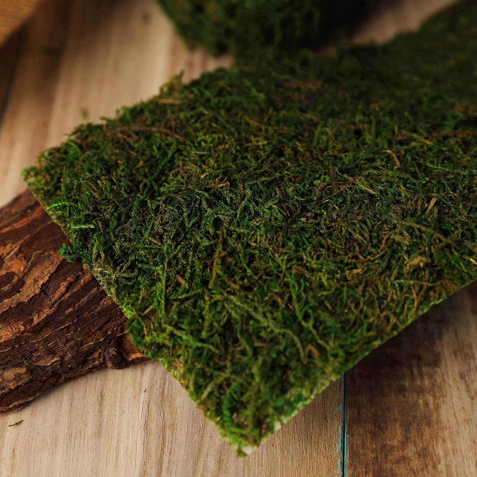 4-Foot Long, 5-Inch Wide Green Preserved Moss Ribbon for DIY Crafts