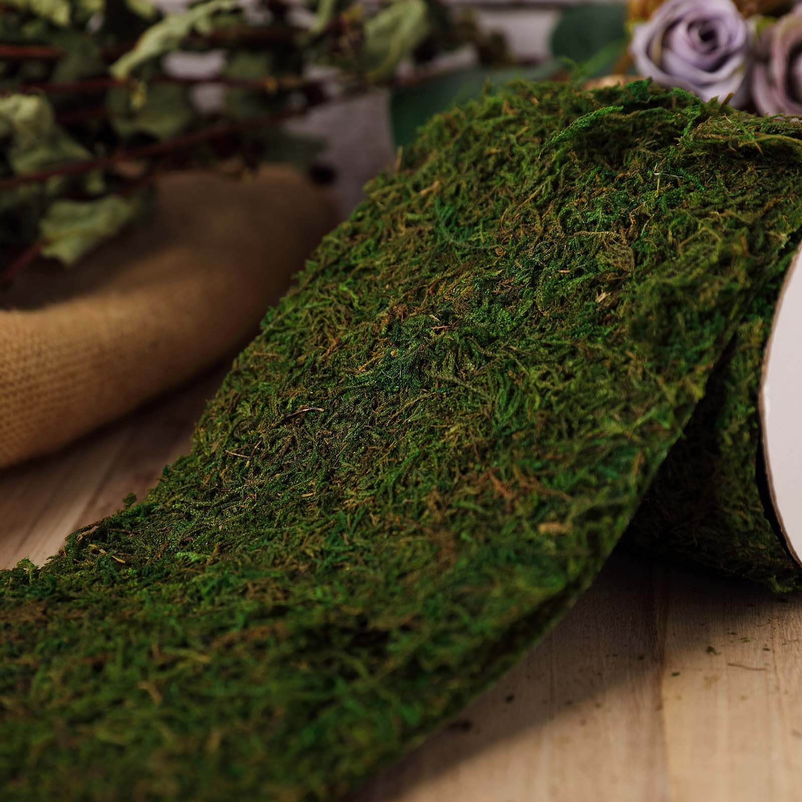 4-Foot Long, 5-Inch Wide Green Preserved Moss Ribbon for DIY Crafts