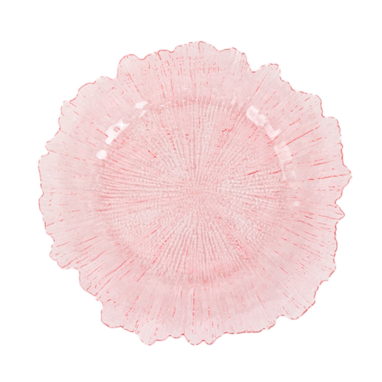 Hot Sale! 6-Pack 13-inch Transparent Blush Acrylic Round Charger Plates with Reef Design