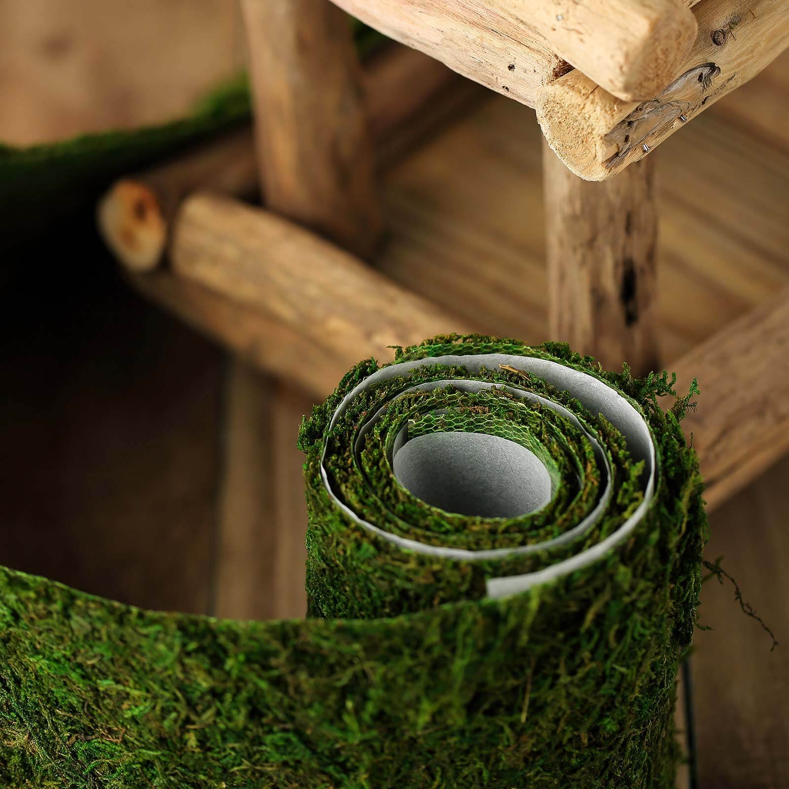 4-Foot Long, 5-Inch Wide Green Preserved Moss Ribbon for DIY Crafts