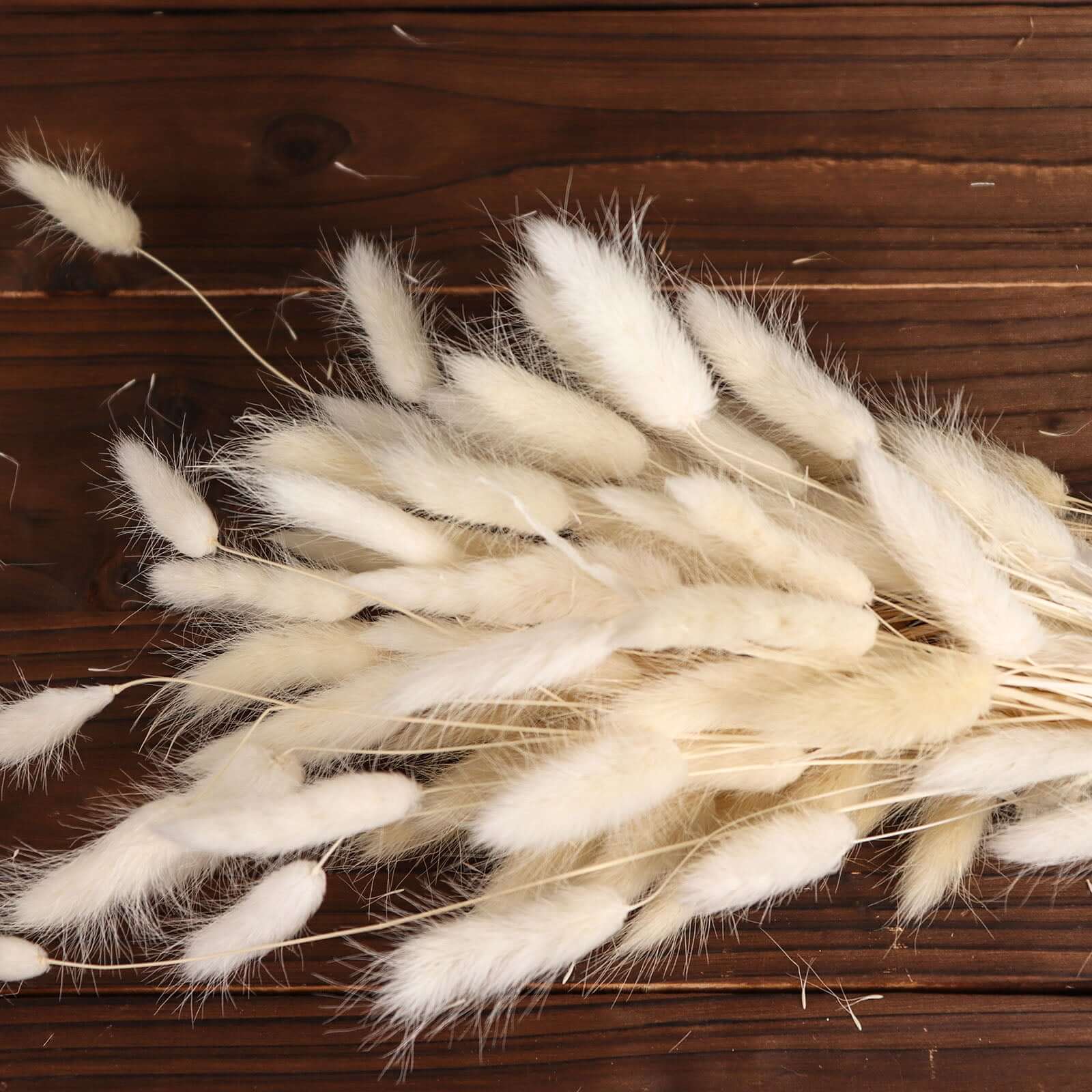 50-Pack Natural White Dried Bunny Tail Grass - Ideal for Modern Farmhouse Decor and Event Styling