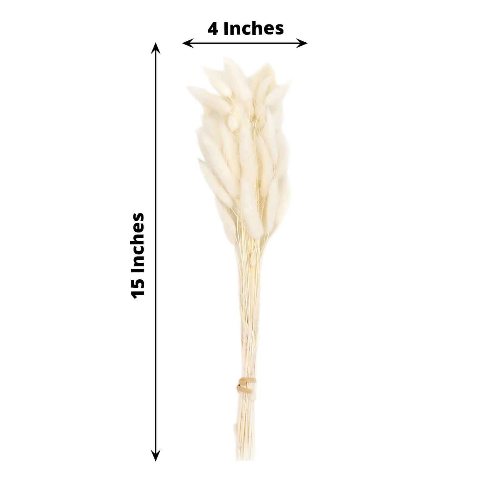 50-Pack Natural White Dried Bunny Tail Grass - Ideal for Modern Farmhouse Decor and Event Styling