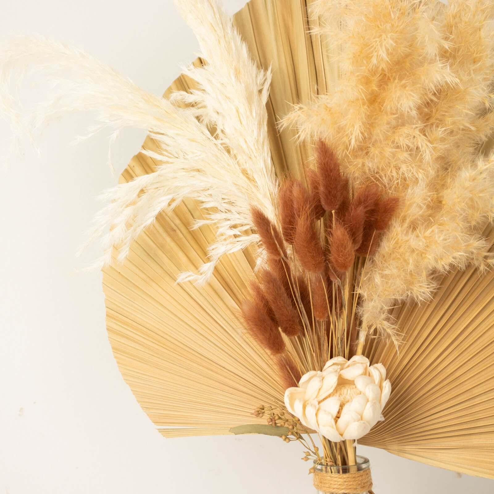50-Pack Brown Dried Bunny Tail Grass - Rustic Ornamental Grass for Farmhouse Decor & Floral Events