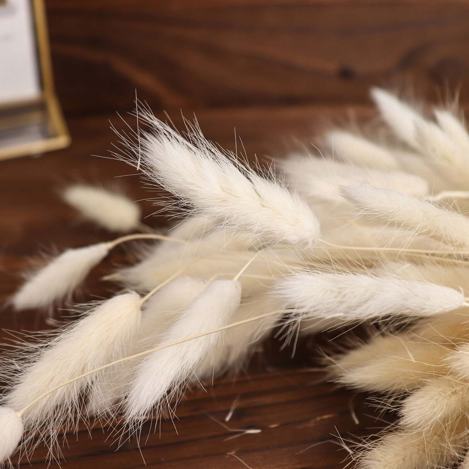 50-Pack Natural White Dried Bunny Tail Grass - Ideal for Modern Farmhouse Decor and Event Styling