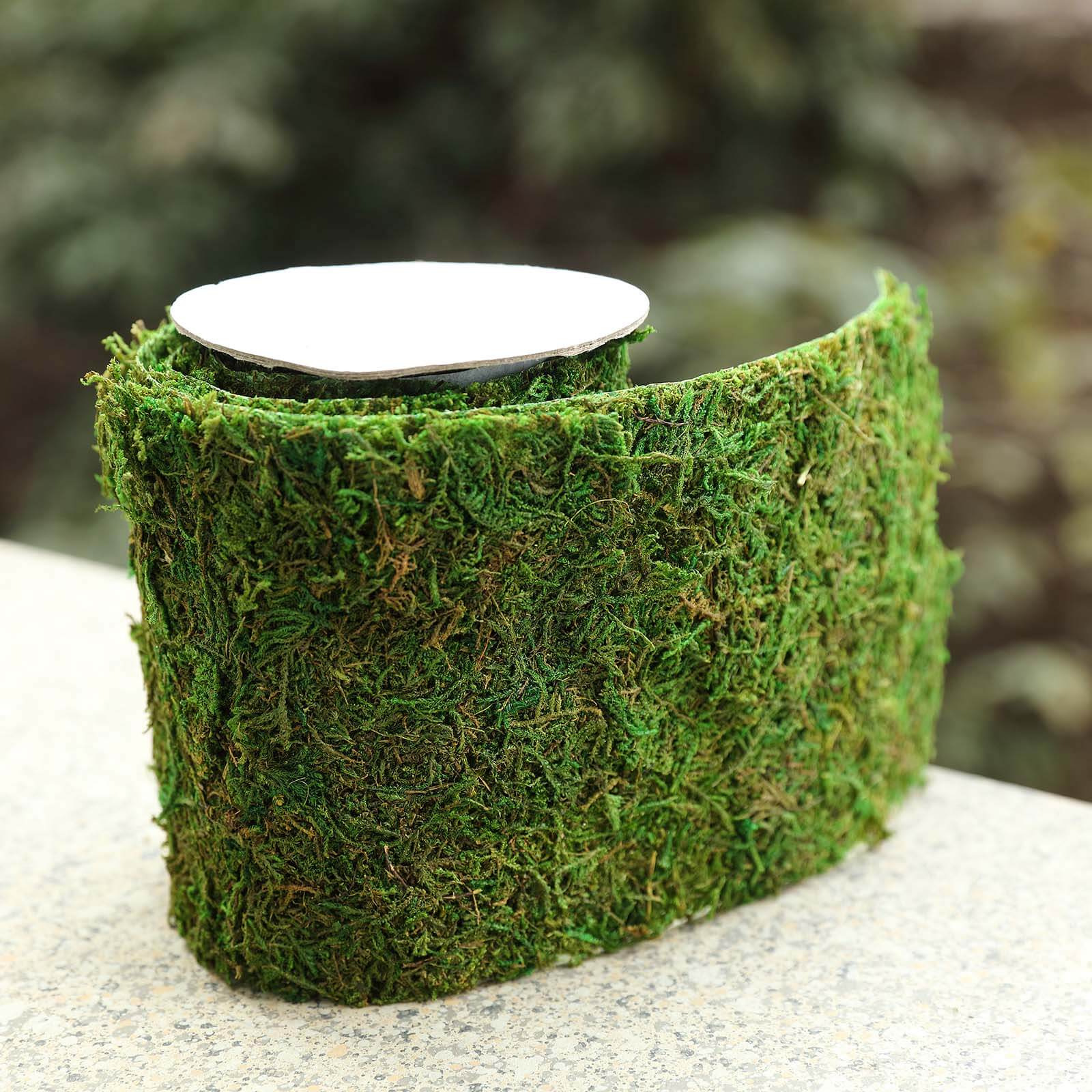 4-Foot Long, 5-Inch Wide Green Preserved Moss Ribbon for DIY Crafts