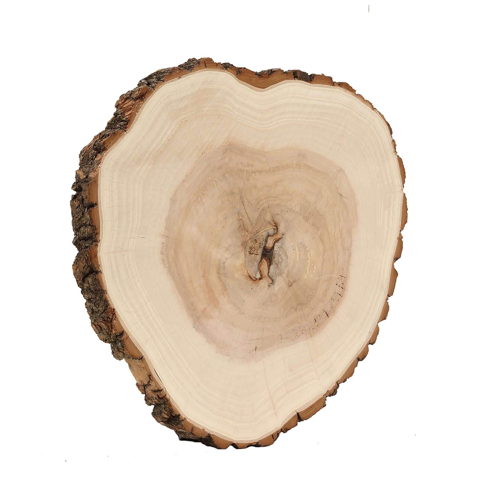 Hot! Polished Rustic Poplar Wood Round Slices for Wedding & Event Decor, 18 Dia