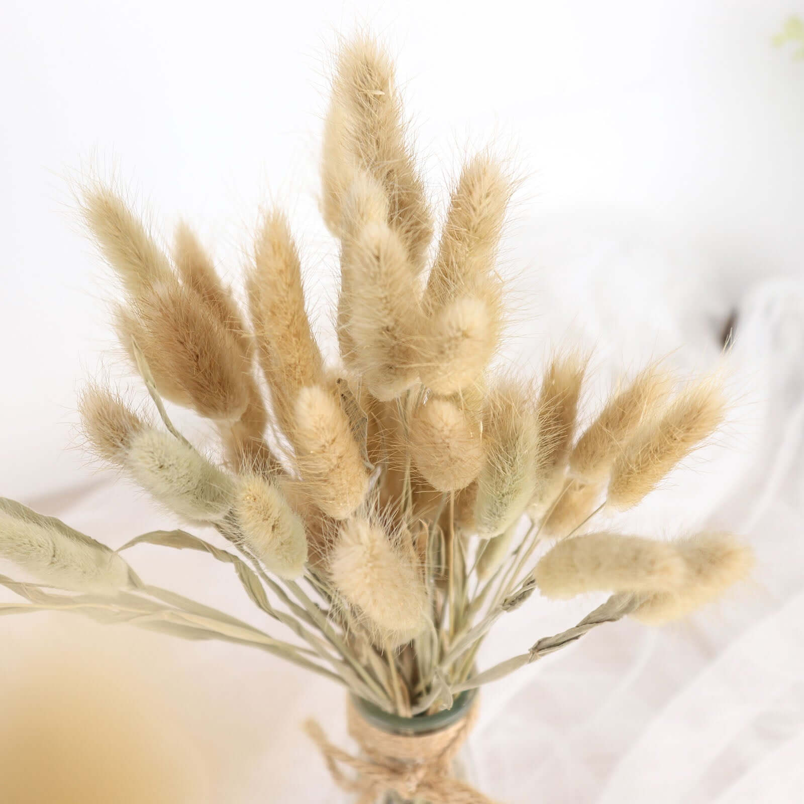 Hot Sale! 50-Pack Natural Dried Bunny Tail Grass for Farmhouse Decor, Events & Floral Arrangements