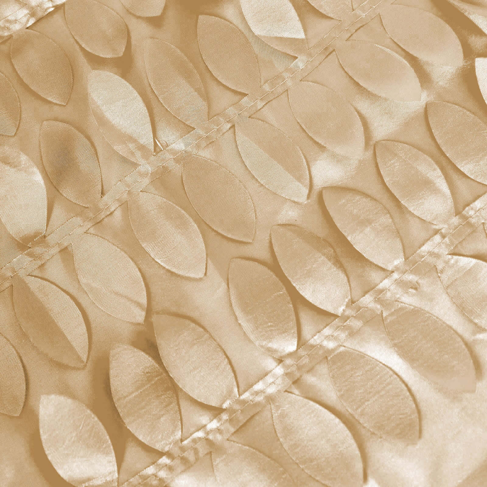Champagne Taffeta 120
