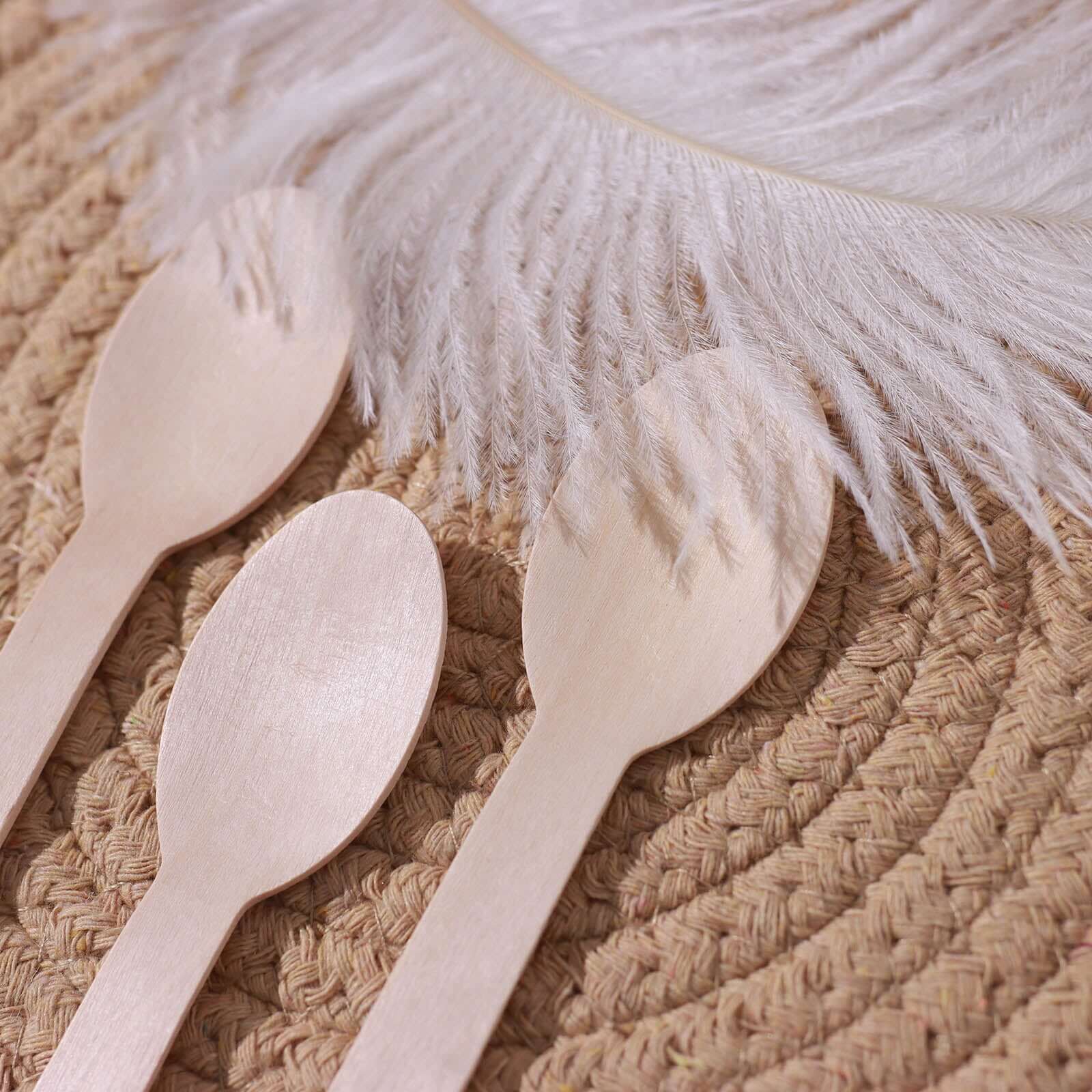 100-Piece Set of Natural Birchwood Spoons - Eco-Friendly, Biodegradable for Rustic & Outdoor Events