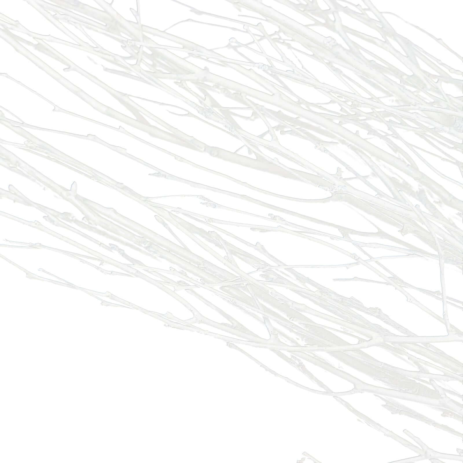 Hot Deal! 6-Pack White Natural Birch Branches, Extra Long for Wedding & Vase Decor