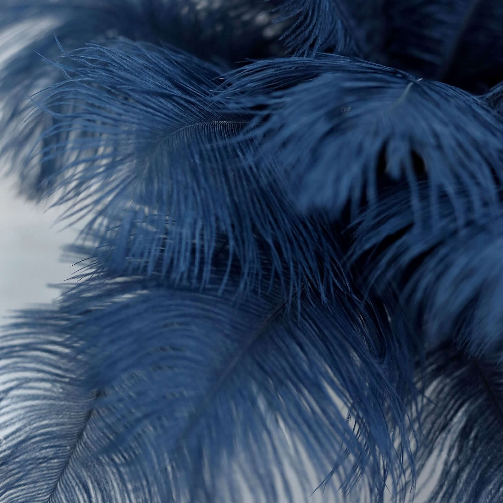 12-Piece Set of 13 - 15 Inch Navy Blue Authentic Ostrich Feathers for DIY Centerpieces