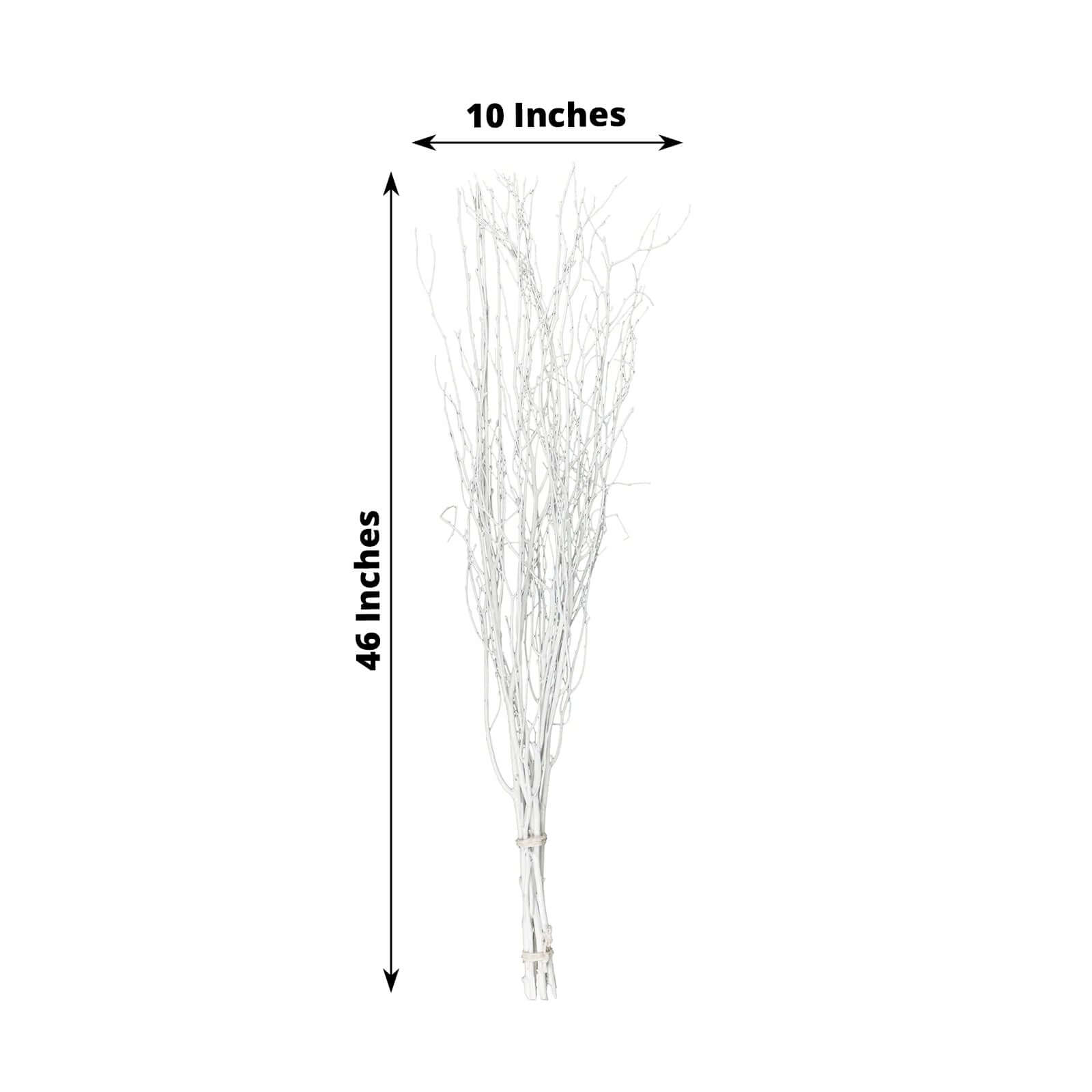 Hot Deal! 6-Pack White Natural Birch Branches, Extra Long for Wedding & Vase Decor