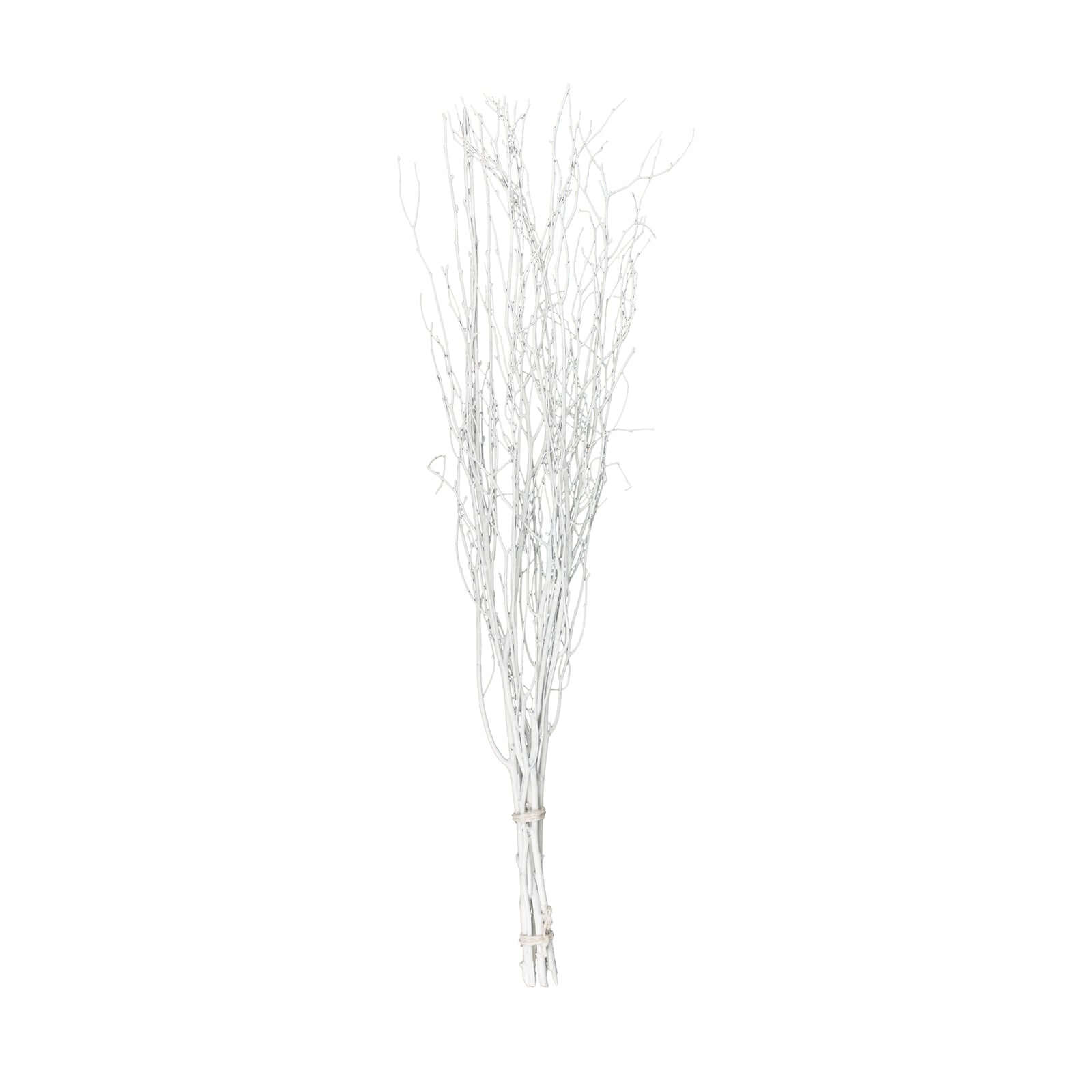Hot Deal! 6-Pack White Natural Birch Branches, Extra Long for Wedding & Vase Decor